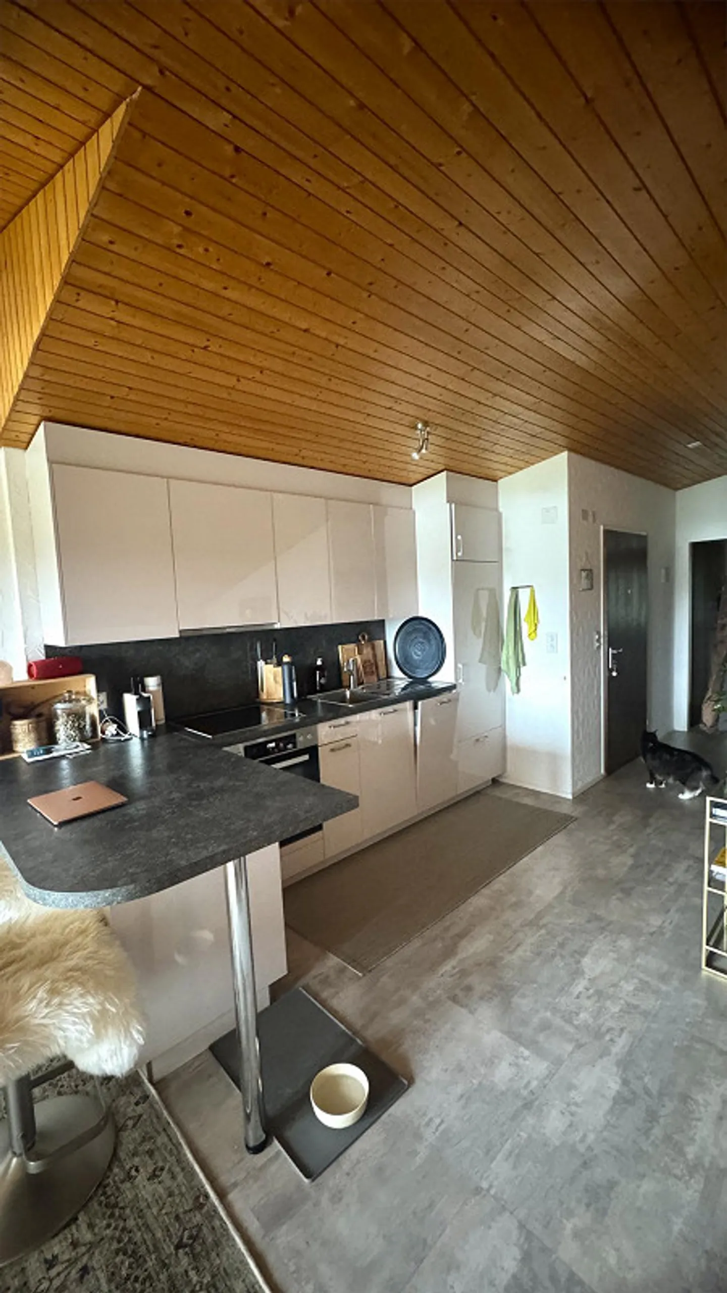 Ampio appartamento di 2,5 stanze con vista montagna nel villaggio di Flims - disponibile immediatamente - Foto 4 di 9