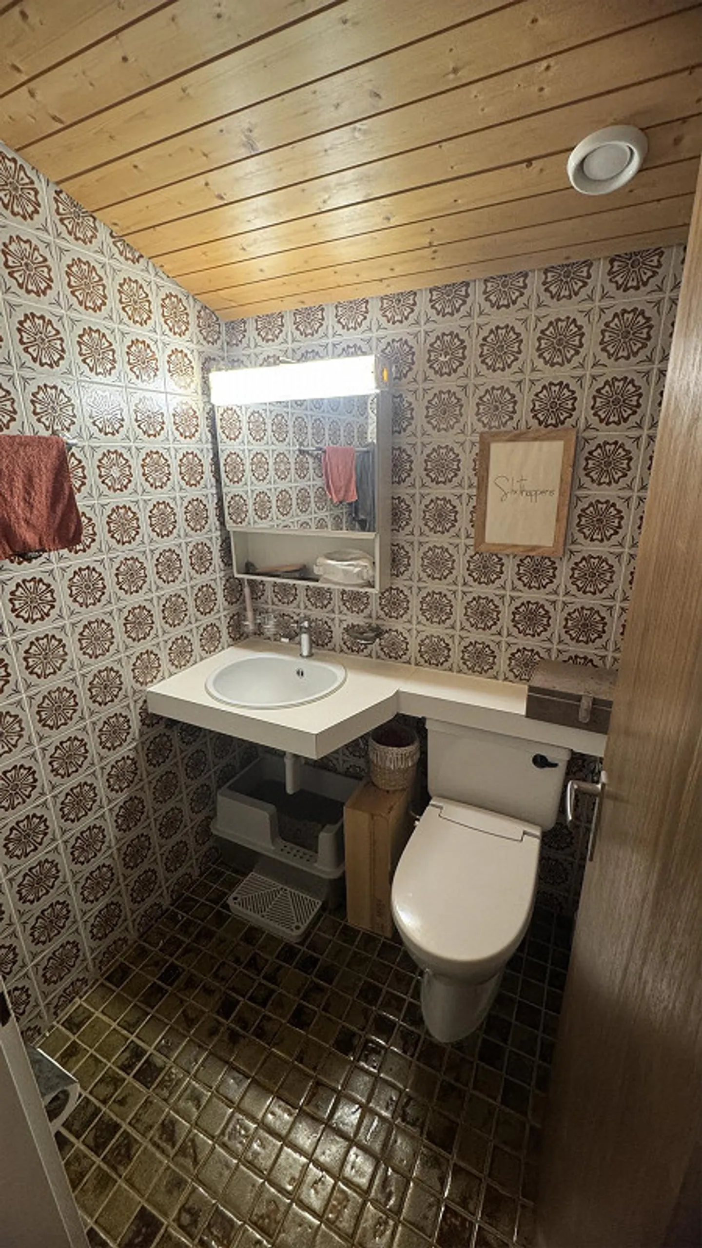 Ampio appartamento di 2,5 stanze con vista montagna nel villaggio di Flims - disponibile immediatamente - Foto 8 di 9