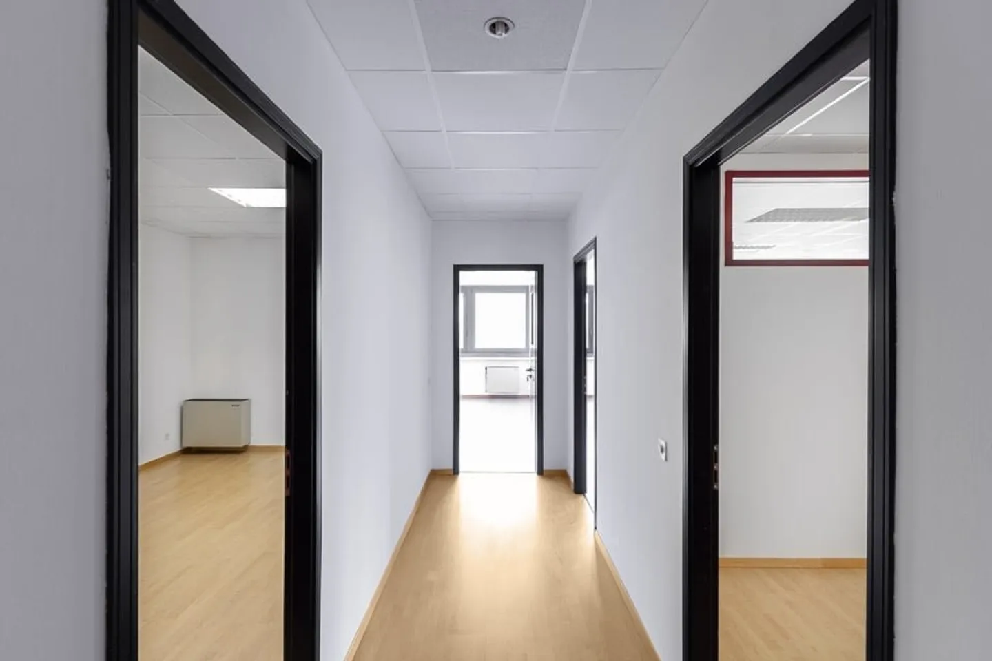 LUGANO NORD/BIOGGIO - À LOUER BUREAU LUMINEUX DE 140 M² (réf. 003) - Photo 3 sur 14