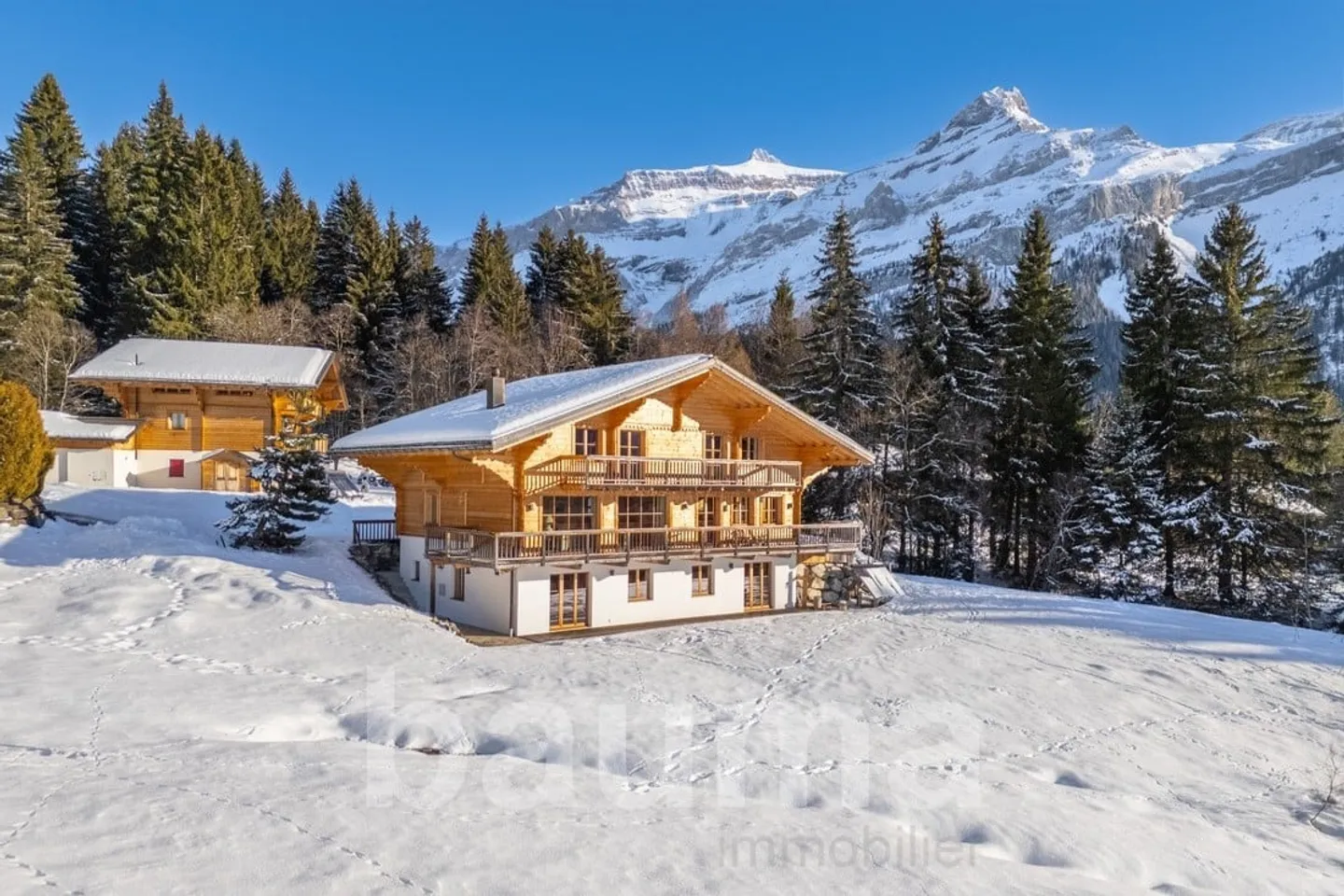 Chalet magnifique avec 6 chambres à Les Diablerets avec vue panoramique sur les montagnes - Photo 1 sur 13