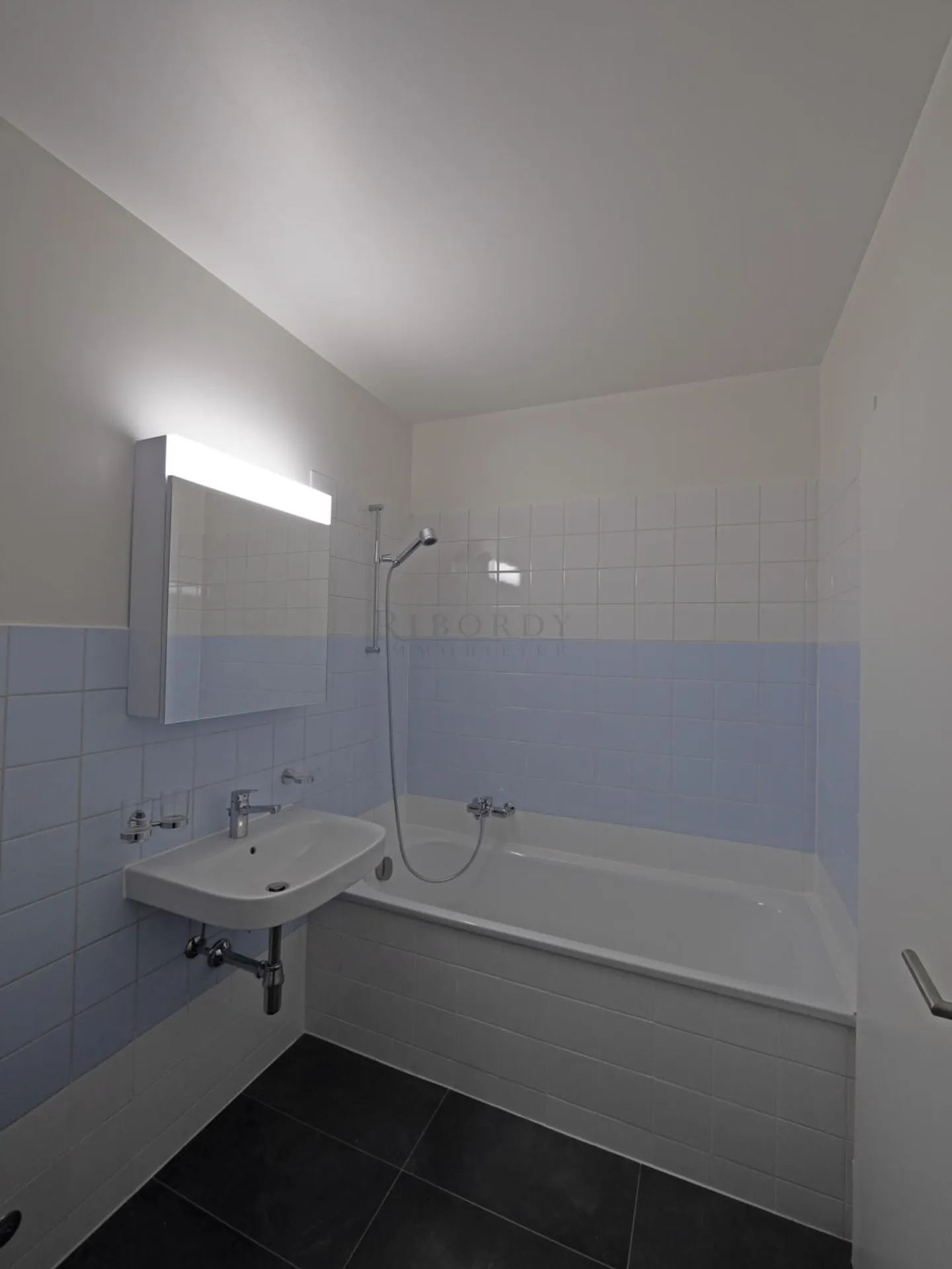 Appartement spacieux avec jardins - Photo 2 sur 3