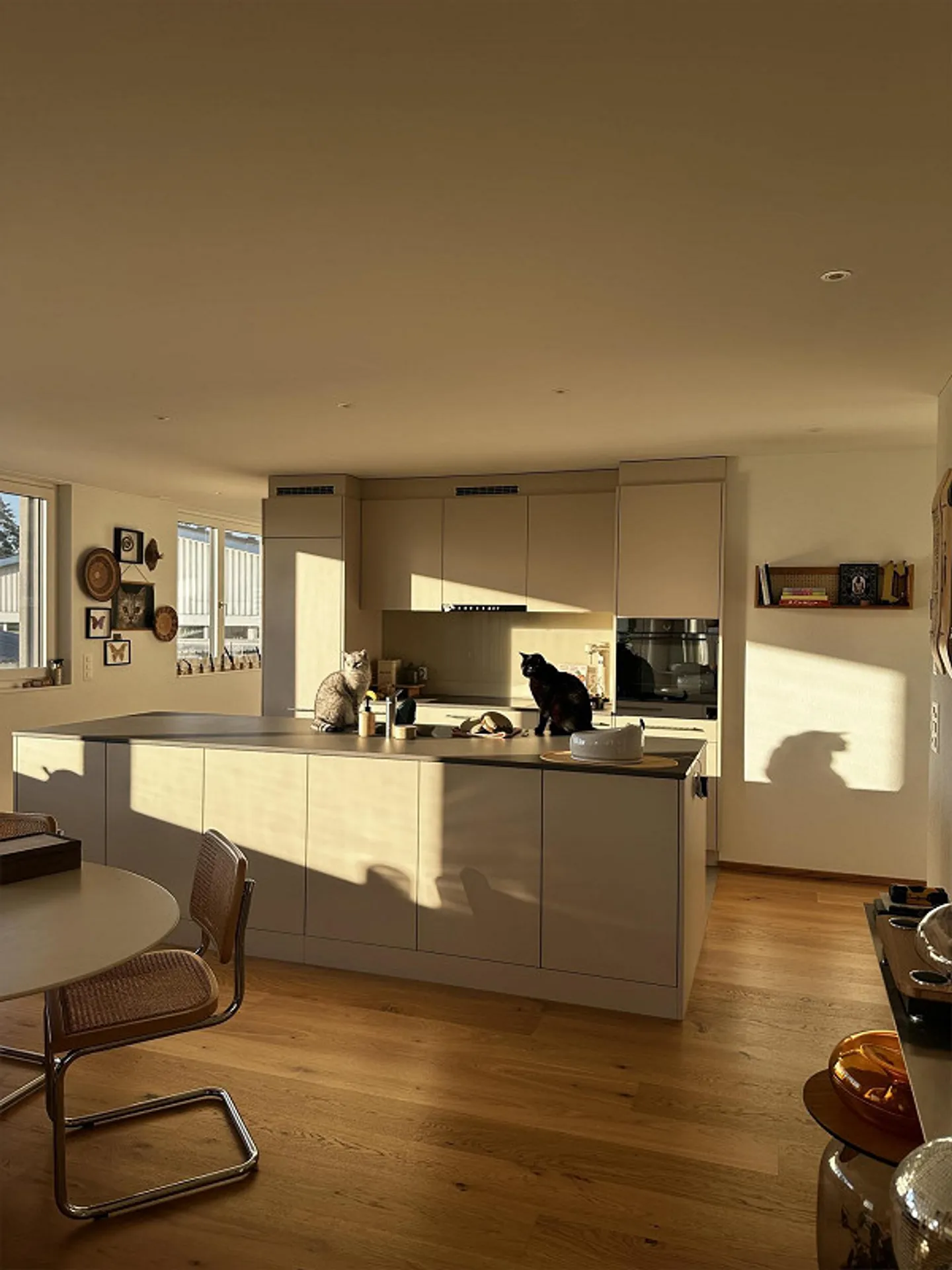 Appartement moderne et spacieux de 3,5 pièces avec jardin sur le toit et soleil du soir - Photo 6 sur 15