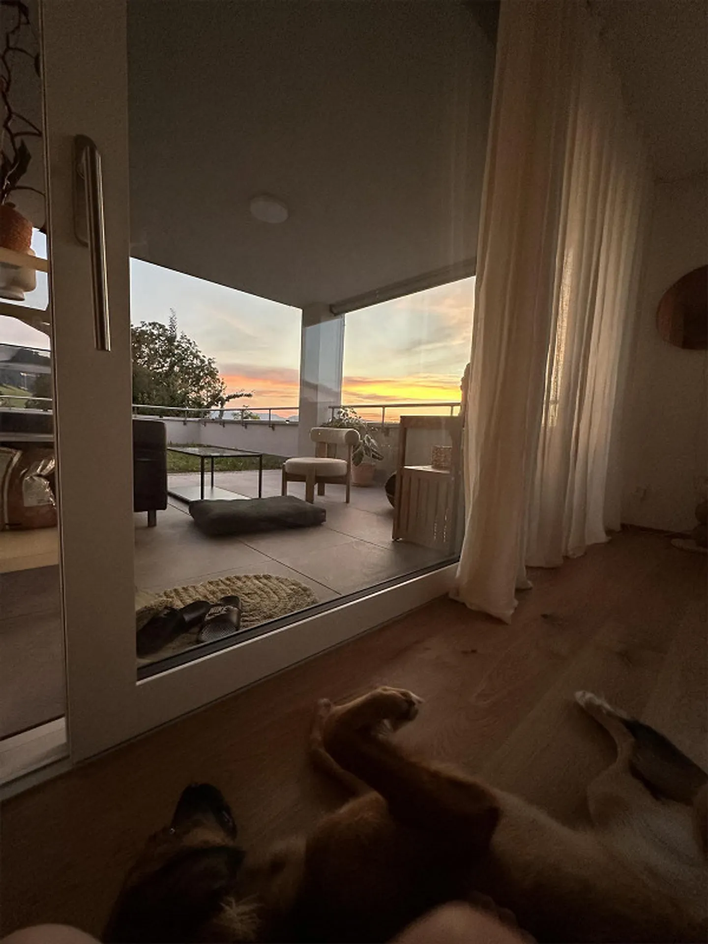 Appartement moderne et spacieux de 3,5 pièces avec jardin sur le toit et soleil du soir - Photo 9 sur 15