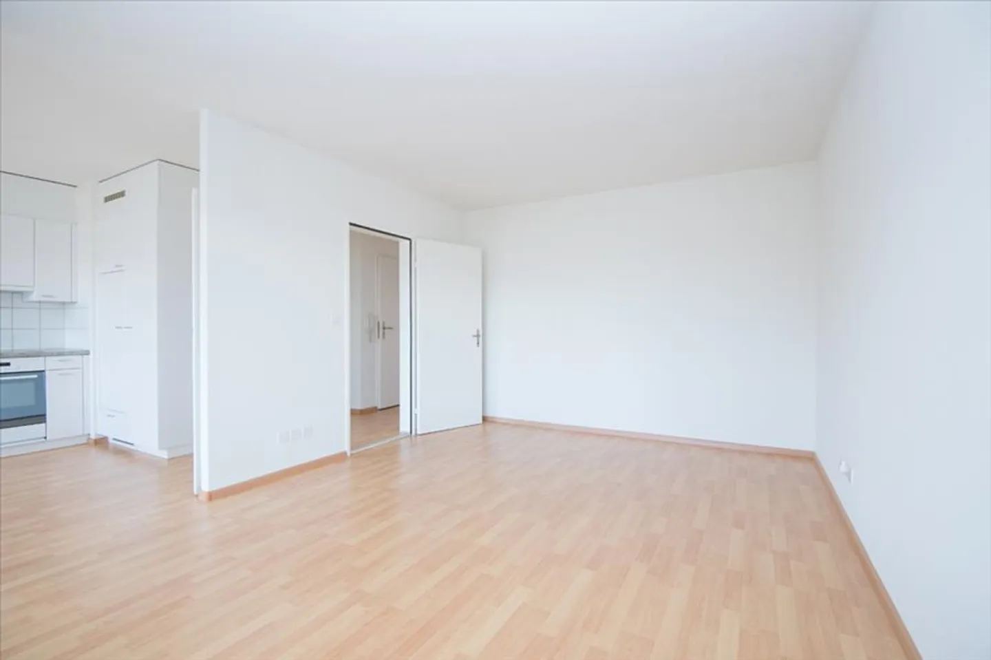 Appartamento 3.5 stanze di fronte al parco Horburg - Foto 2 di 6