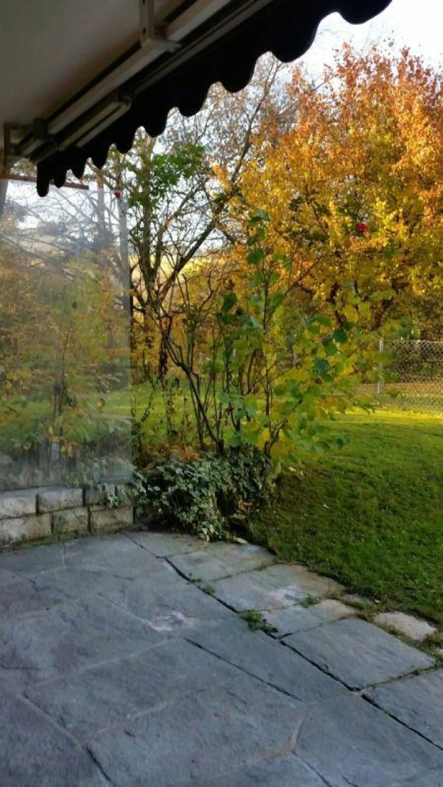 Modern apartment in a quiet location with garden seating area - Photo 1 of 10