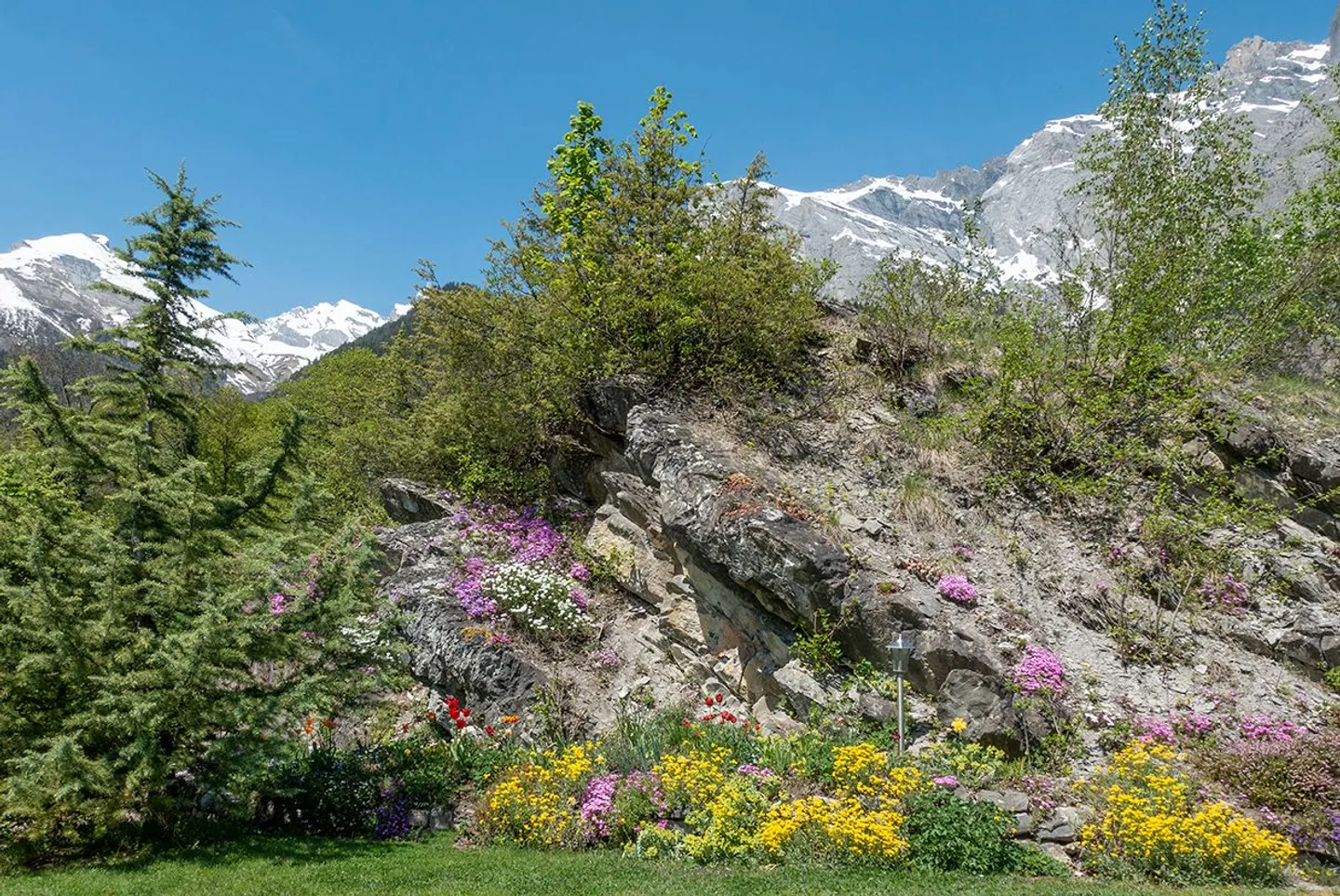 Wunderschönes charmantes Haus, eingebettet in eine Oase des Friedens - Foto 12 von 12