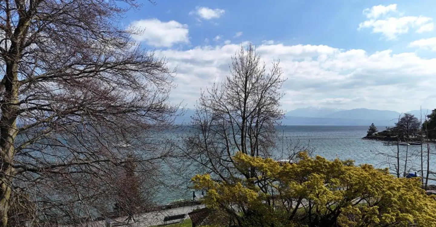 RARE- Propriété au bord du lac avec quai - Photo 5 sur 8
