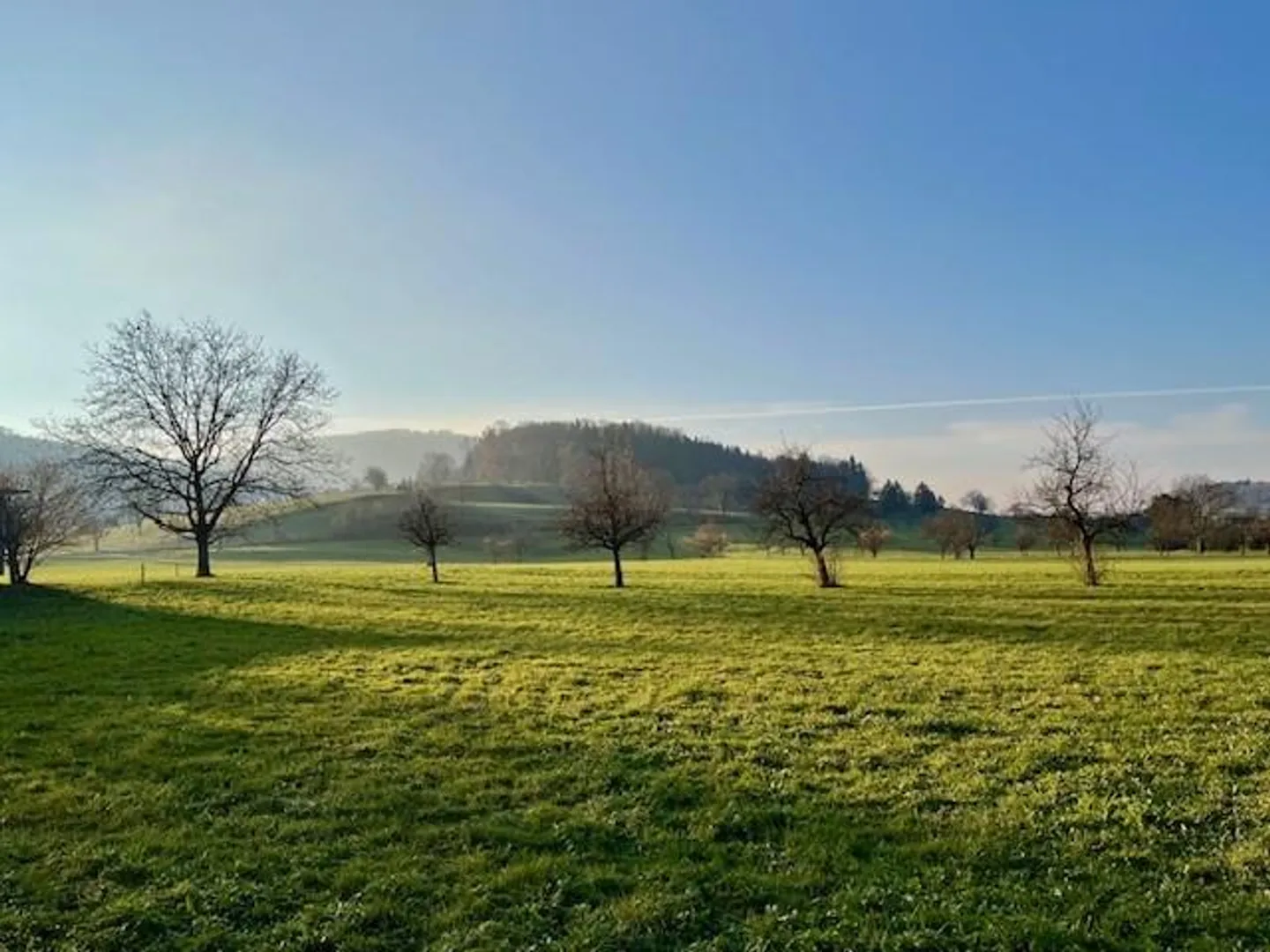 Charmante Wohnung mit Erholungsgebiet direkt vor der Haustüre - Foto 11 von 11