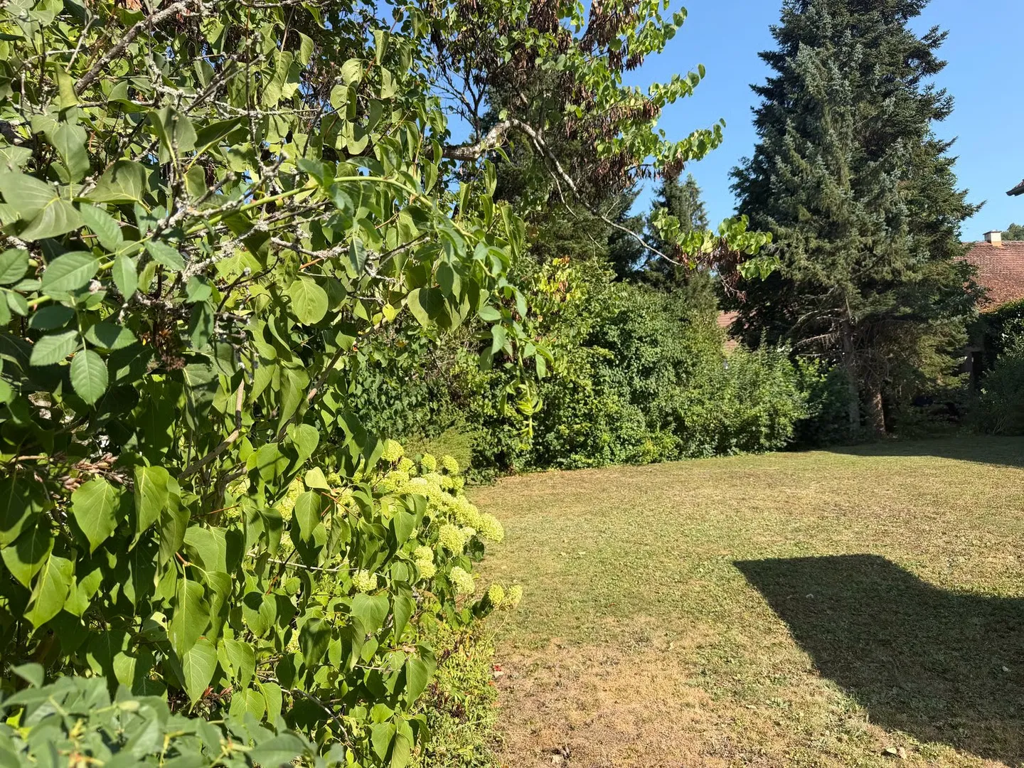 Charmantes Einfamilienhaus in Rafz - Foto 18 von 21