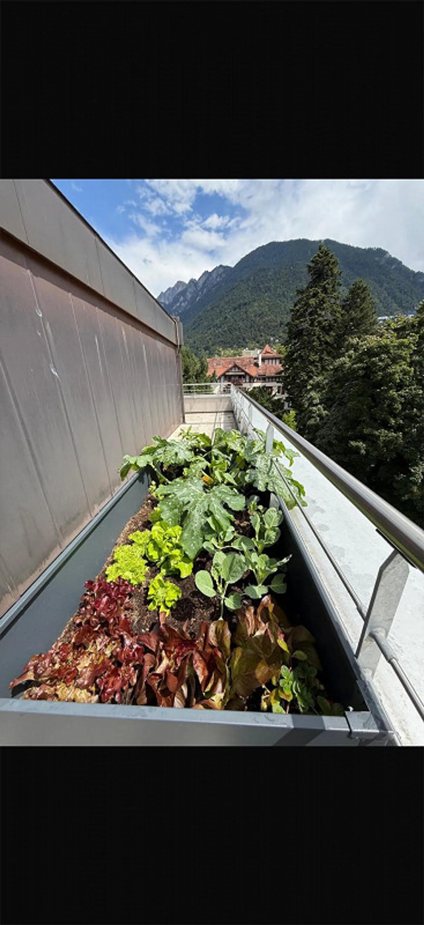 Central penthouse apartment in the middle of Chur - Photo 3 of 6