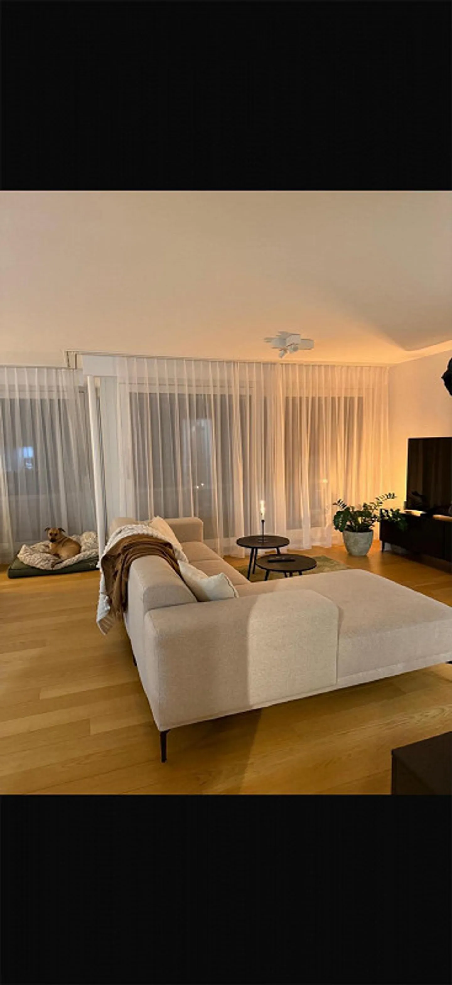 Central penthouse apartment in the middle of Chur - Photo 5 of 6