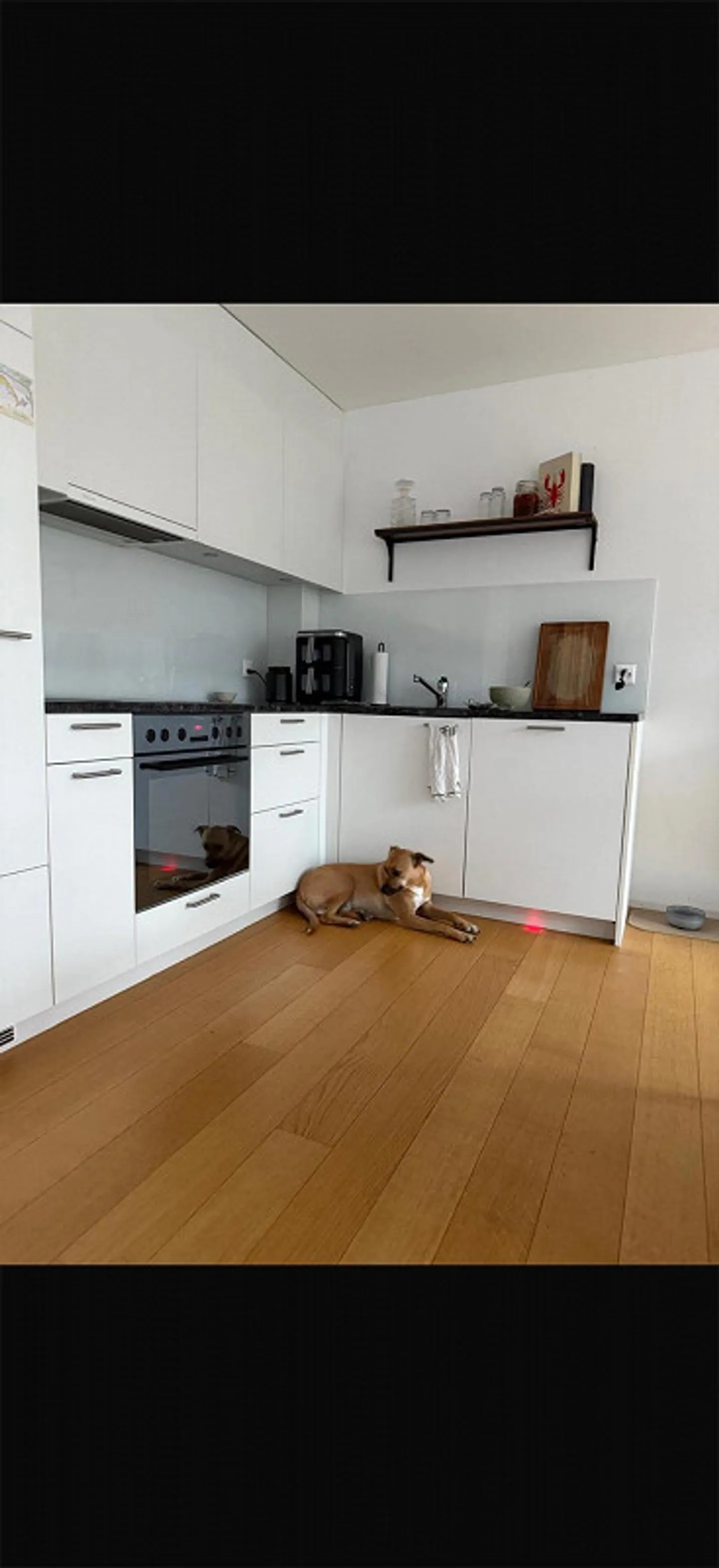 Central penthouse apartment in the middle of Chur - Photo 6 of 6