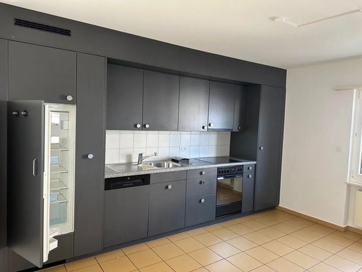 Bright 4-room apartment with sunny terrace in the heart of Reiden LU - Photo 4 of 9