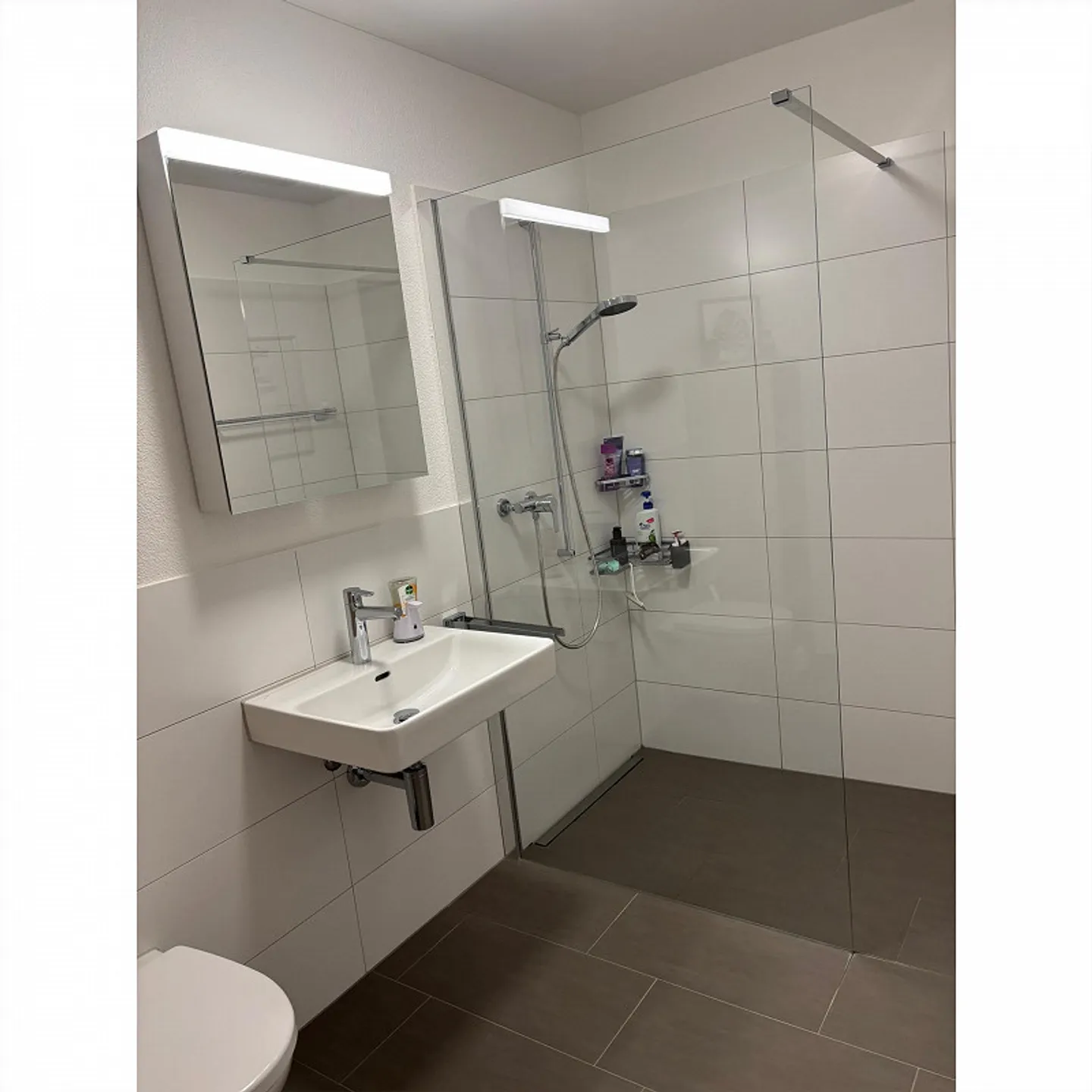 Appartamento attraente di 4,5 stanze nel Ledipark Root - Foto 7 di 8