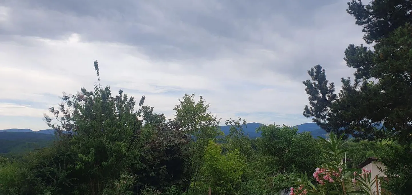 Erdige 2.5-Zimmerwohnung mit Weitblick - Foto 2 von 6