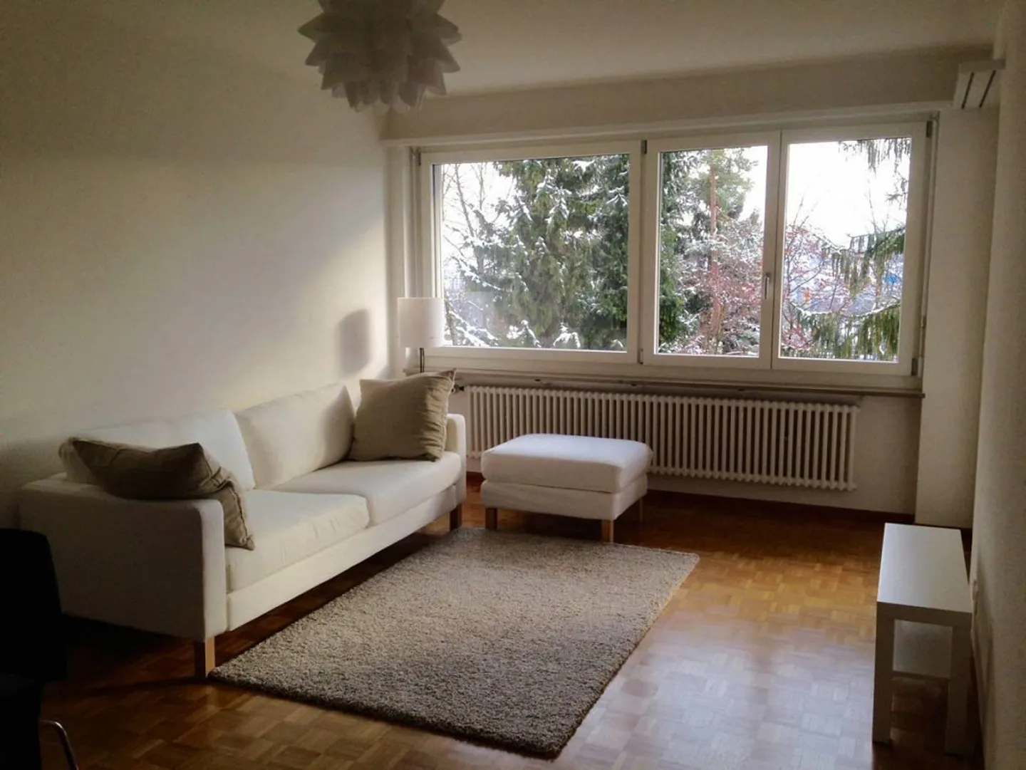 Appartement situé au centre avec vue sur la verdure et le Uetliberg - Photo 1 sur 8