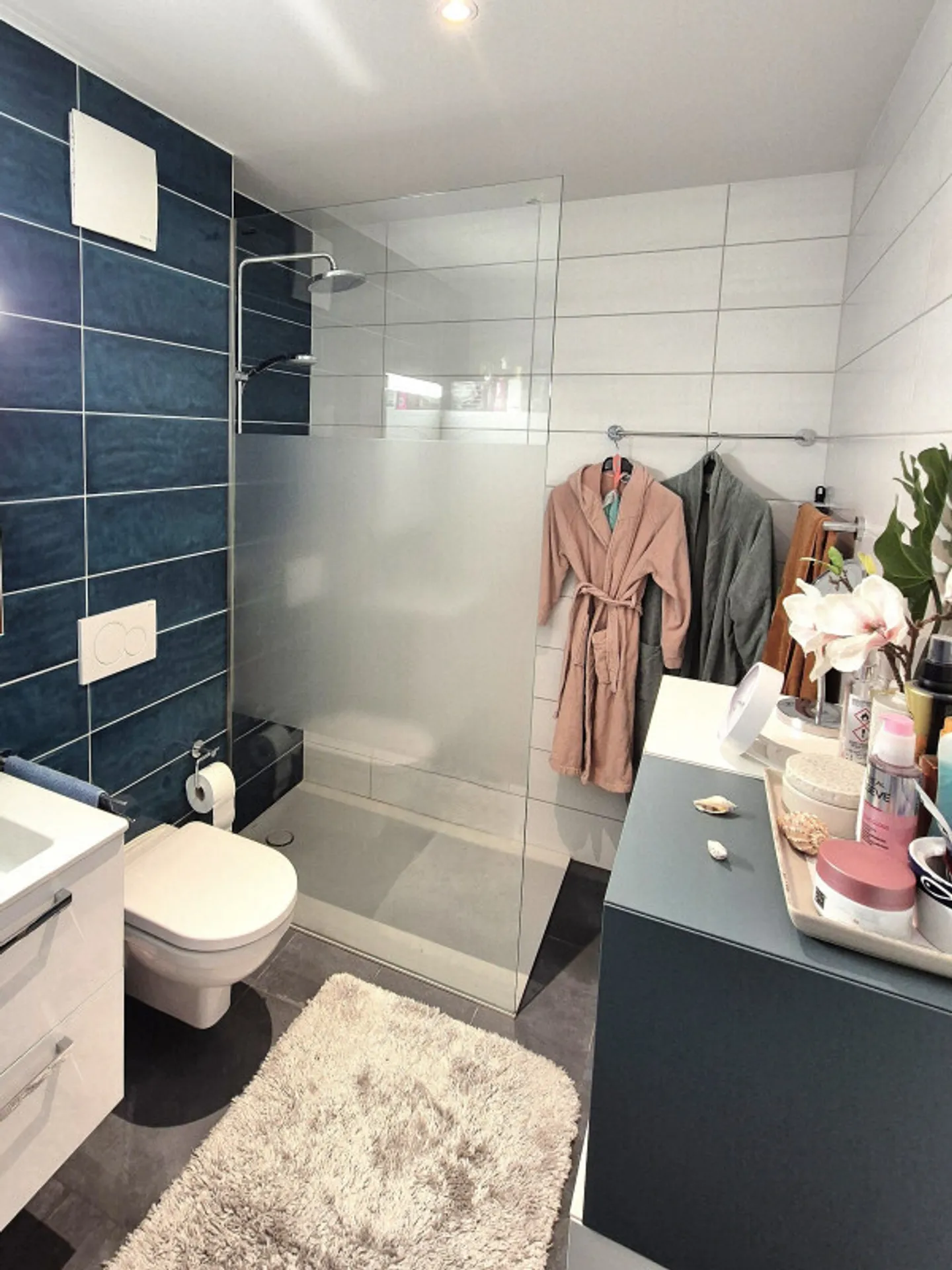 Opportunité ! Attique Duplex de 4,5 pièces à deux pas de Rennaz et du lac - Photo 9 sur 13