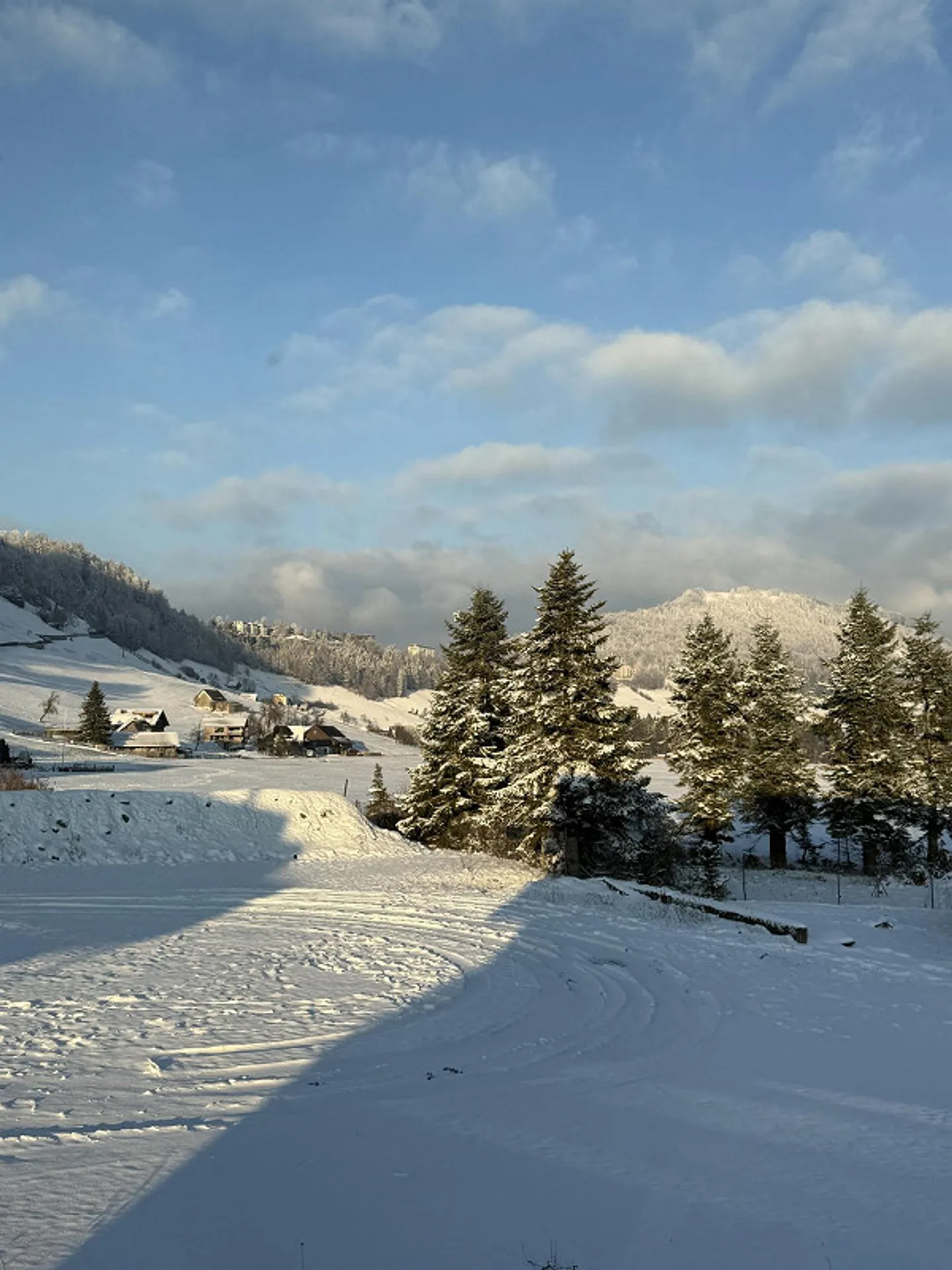 3.5 Room Rental Apartment in Obbürgen - Photo 8 of 10