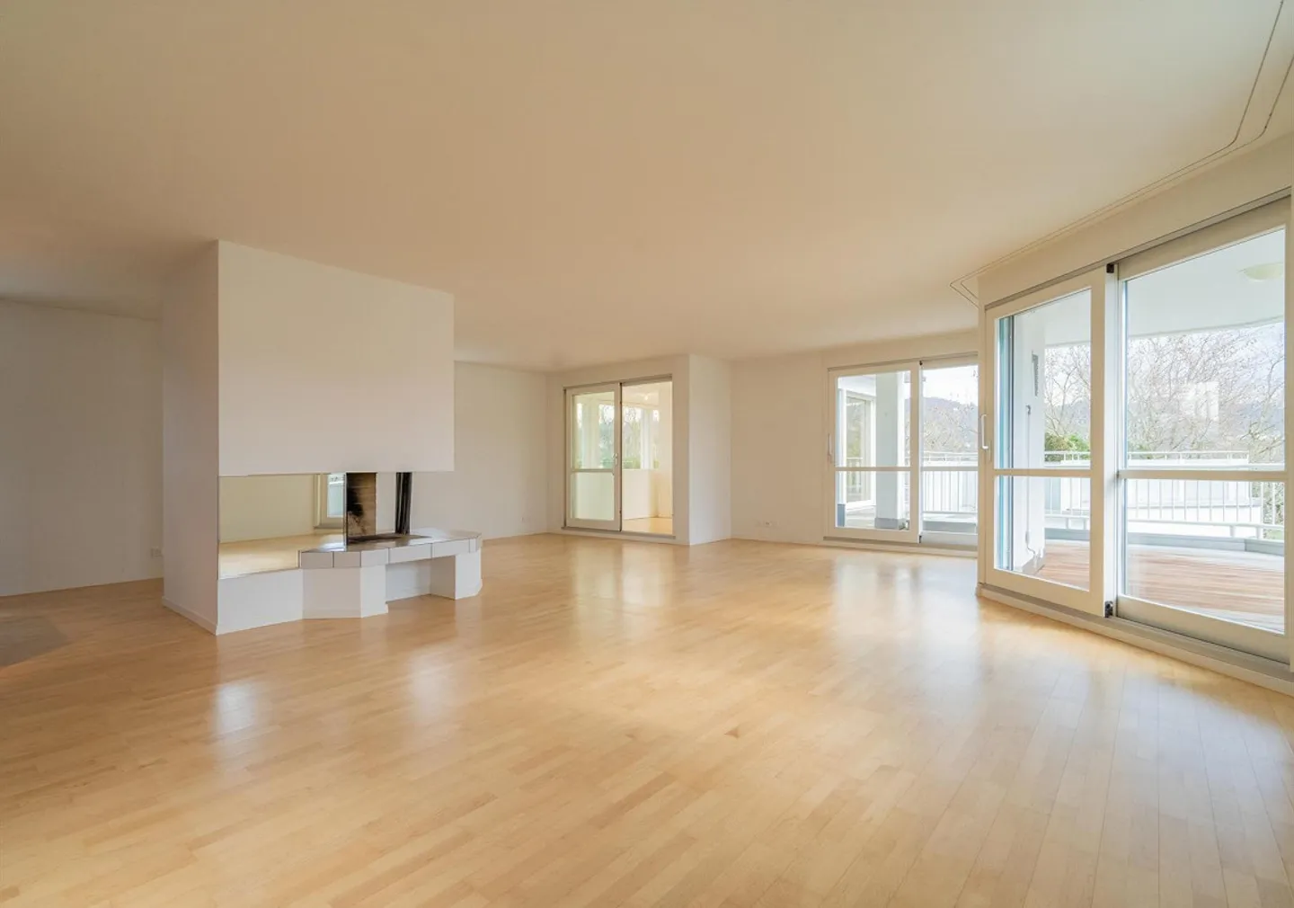 Attico unico con giardino d'inverno riscaldato e fantastico... - Foto 4 di 11