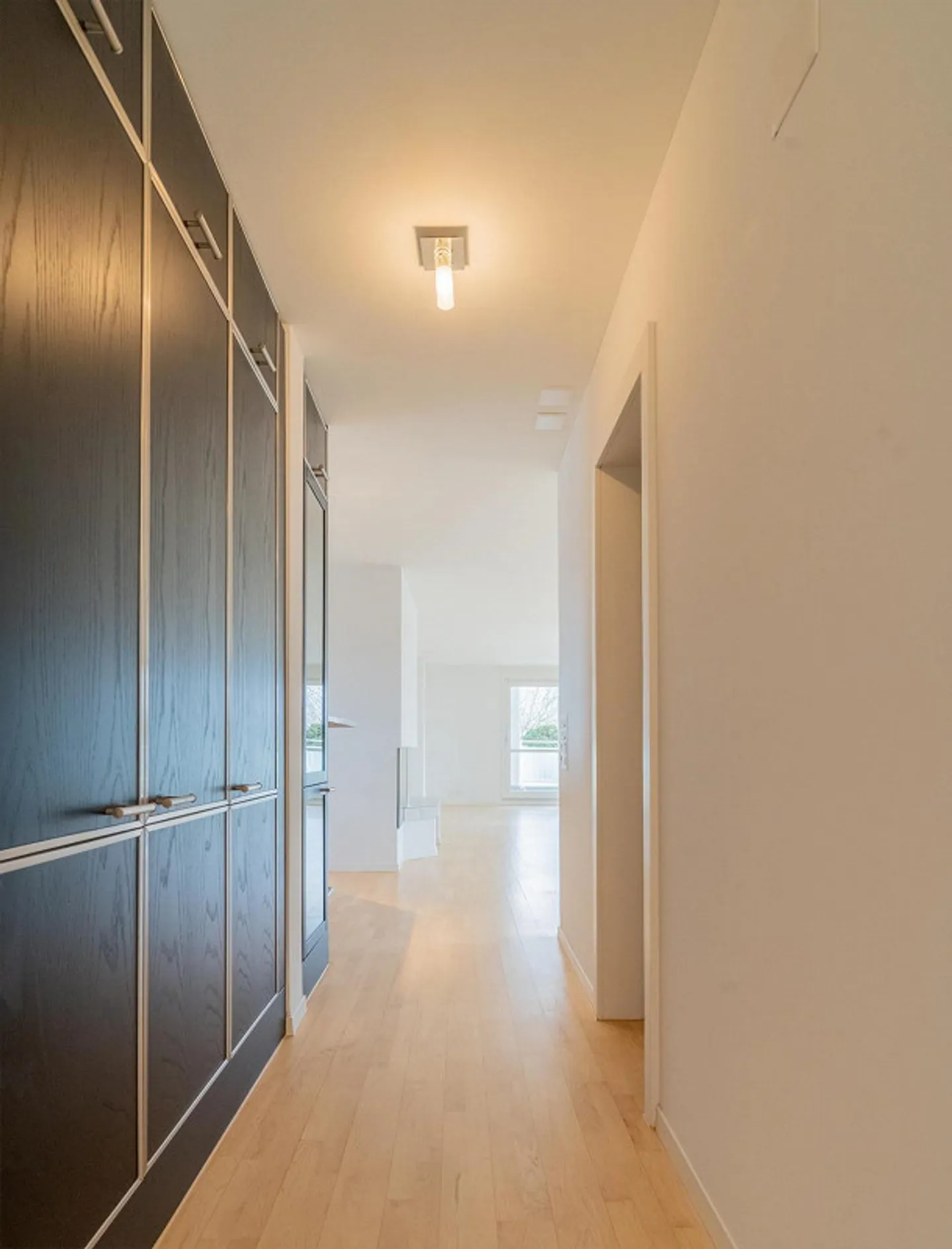 Attico unico con giardino d'inverno riscaldato e fantastico... - Foto 6 di 11