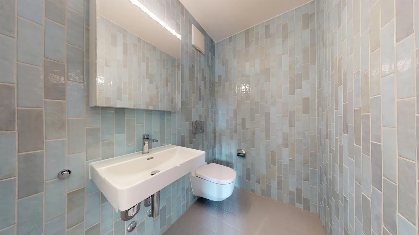 Moderne Neubauwohnung im Zentrum Niederhasli - Foto 7 von 7