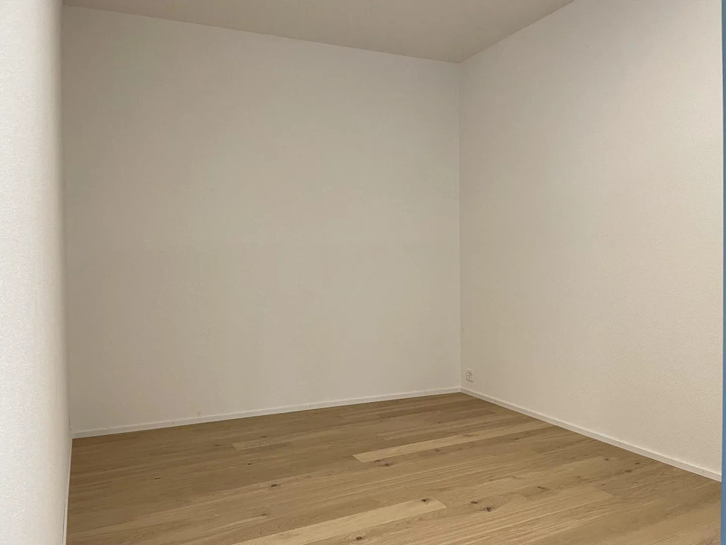 Freshly Renovated Loft Apartment - Photo 6 of 7