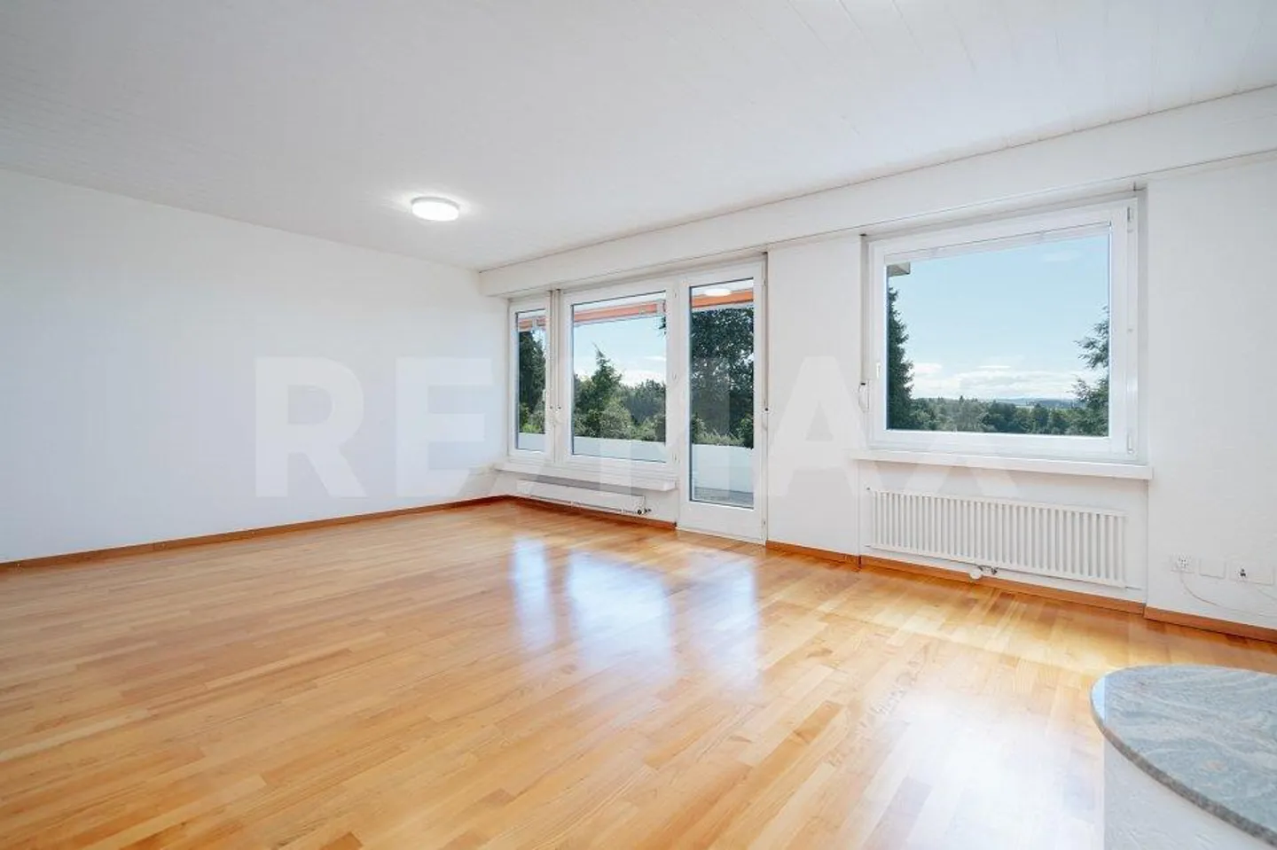 Natura, Pace, Vista Panoramica e Prossimità alla Città: Vivere nel Quartiere Haslen - Foto 5 di 13