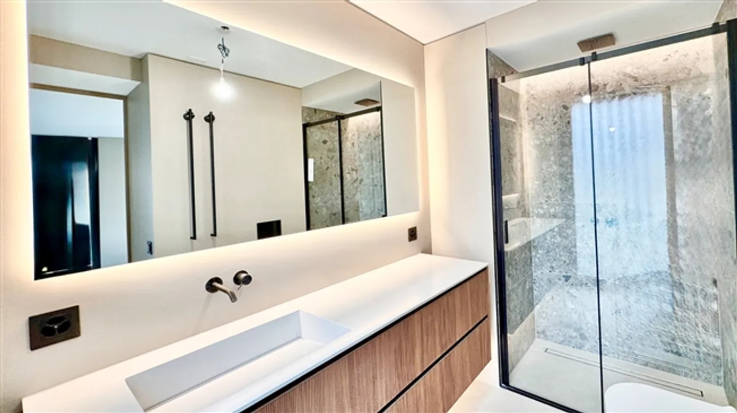 New luxurious apartment directly on Lake Lugano - Photo 6 of 20