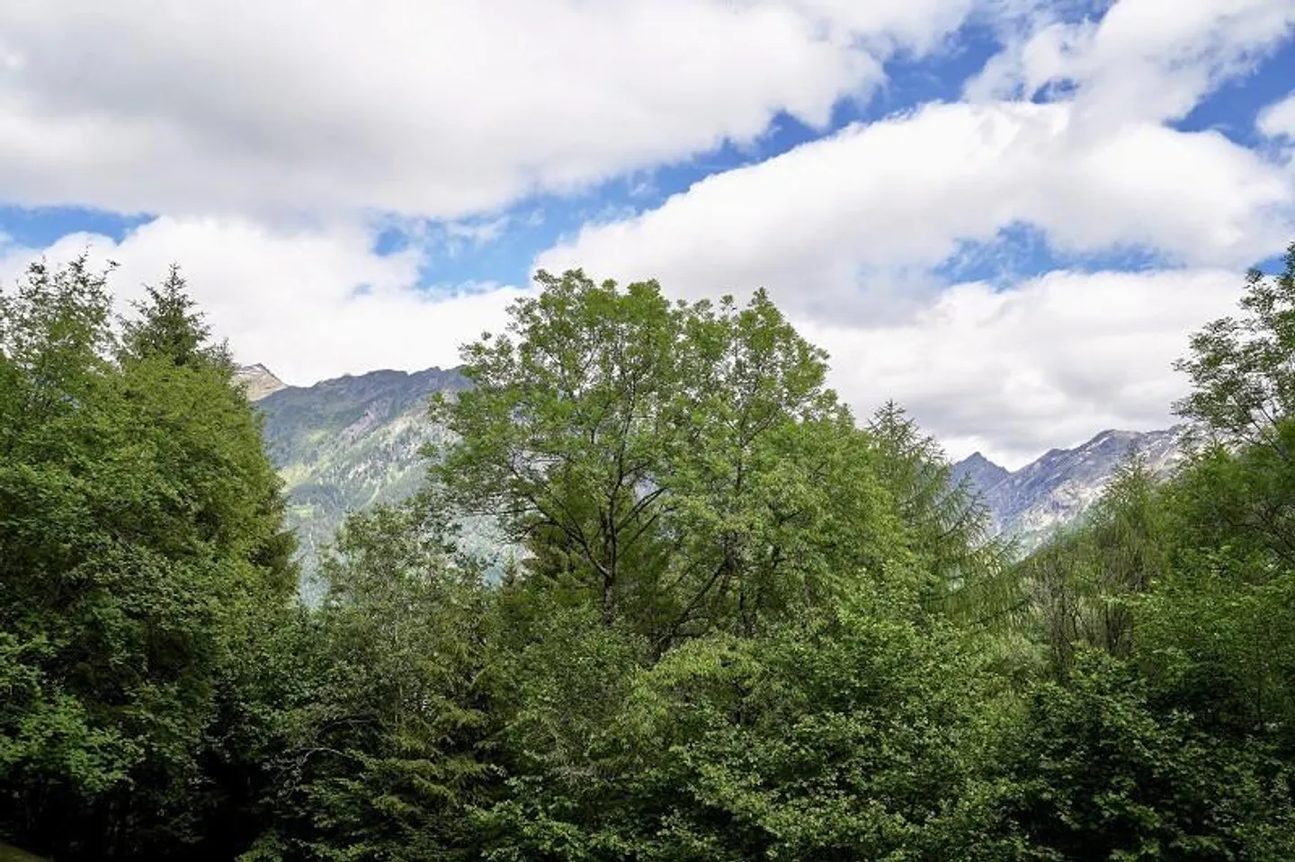 Rustique de 2 pièces dans un emplacement isolé avec vue panoramique et environnement... - Photo 2 sur 12