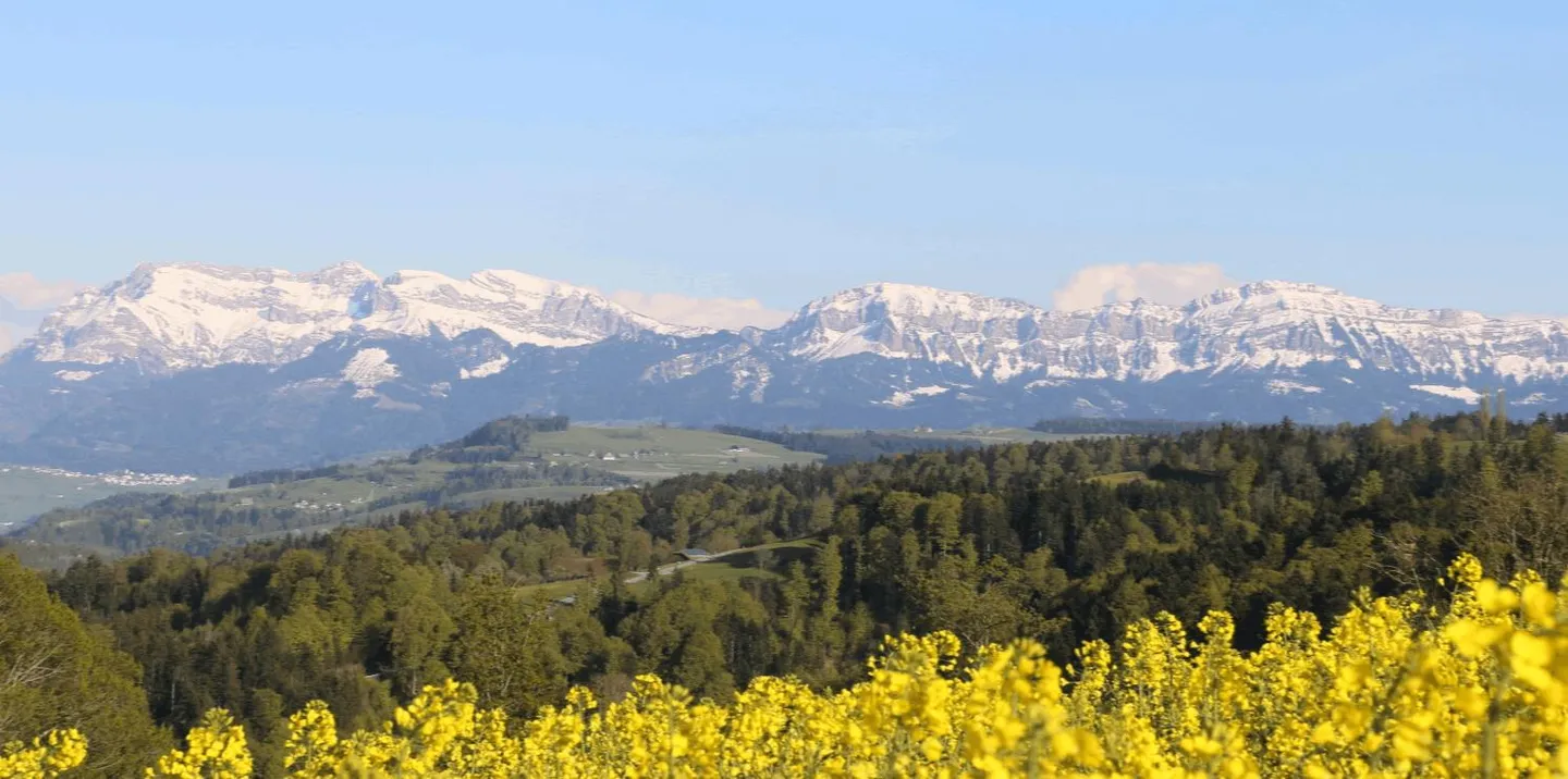 Appartement de 5,5 pièces sur une ferme avec vue sur la chaîne de Pilatus - Photo 1 sur 12
