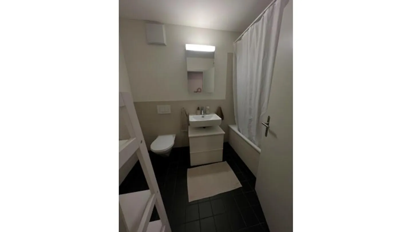 Möblierte Wohnung in Wetzikon - Foto 3 von 5