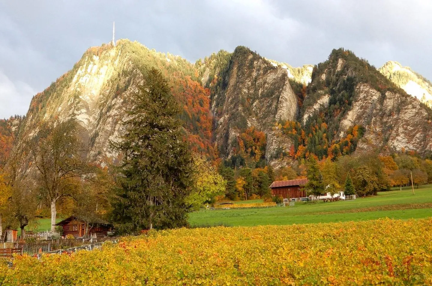 4.5-Zimmerwohnung - Foto 6 von 11