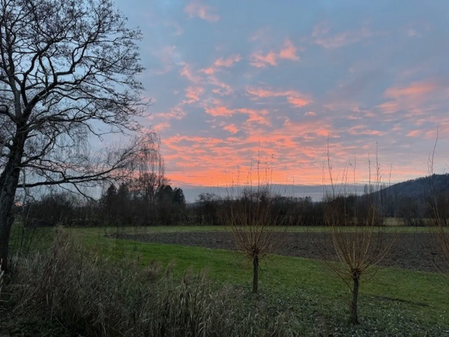 An idyllischer Lage in Worben - Charmantes Reiheneckhaus mit viel Abendsonne - Foto 17 von 17