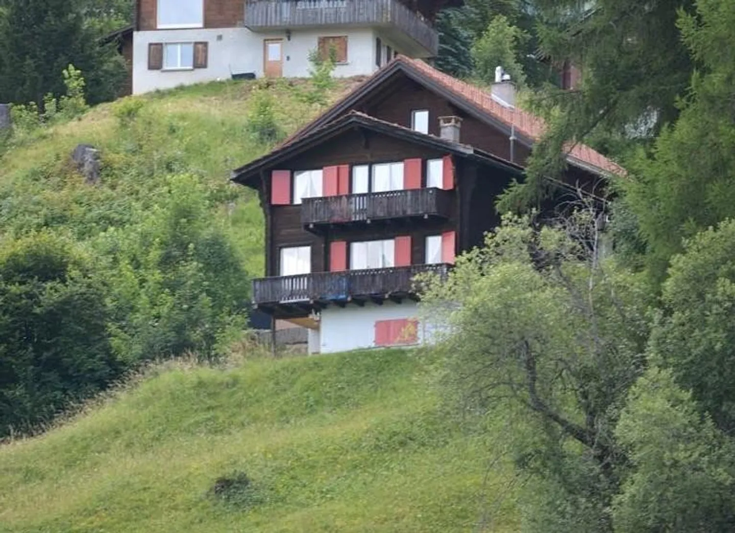 Holiday home with 3 apartments in Tschiertschen - Photo 2 of 24