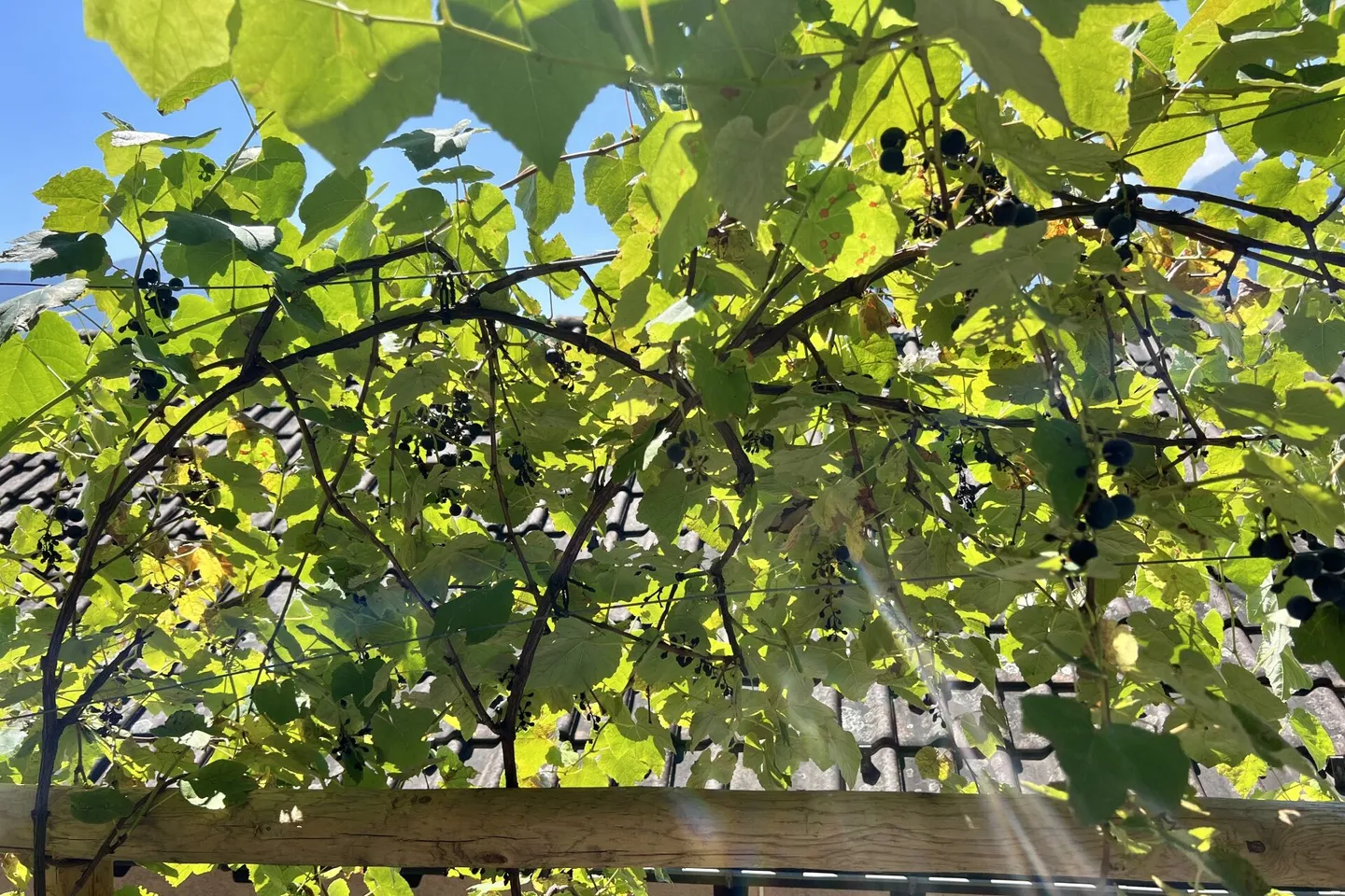 Charmantes Einfamilienhaus mit Studio - Foto 39 von 49