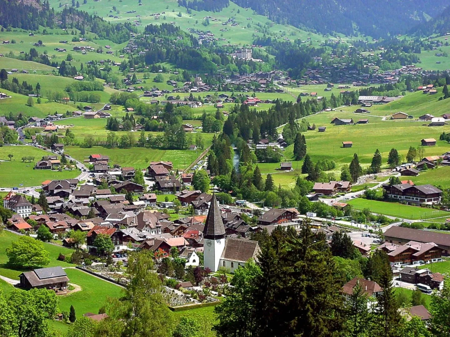 Appartement ensoleillé entre Saanen et Gstaad - Photo 7 sur 7