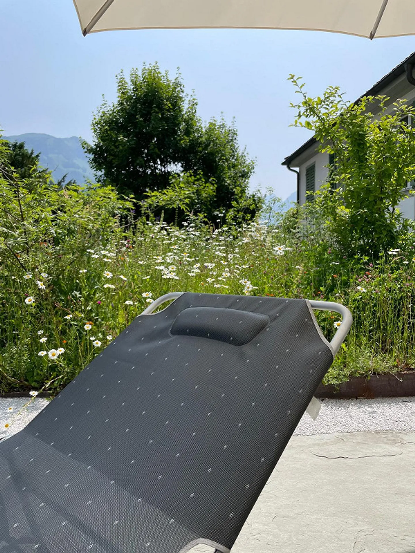 Quiet 3.5 Room Garden Apartment in the Center of Schwyz - Photo 7 of 8