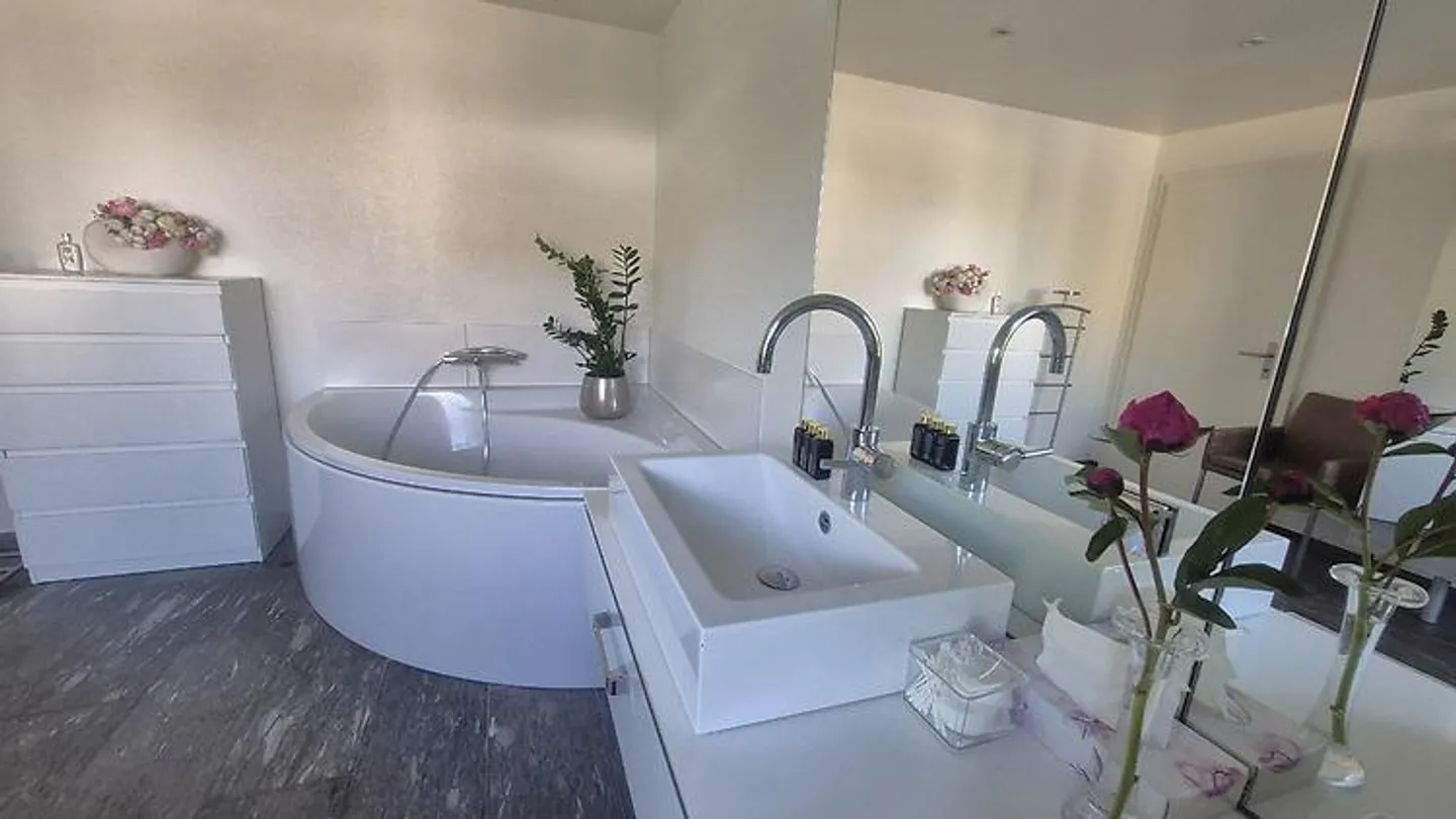MAISON DE 7 CHAMBRES À RICHTERSWIL (ZH), MEUBLÉE, TEMPORAIRE - Photo 7 sur 8