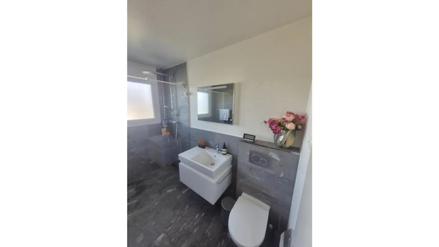 MAISON DE 7 CHAMBRES À RICHTERSWIL (ZH), MEUBLÉE, TEMPORAIRE - Photo 8 sur 8