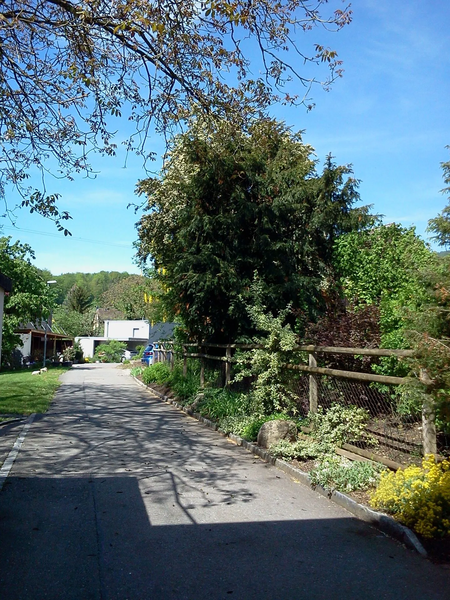 For Sale: Modern Detached 5.5 Family Home in Küttigen - Photo 1 of 15