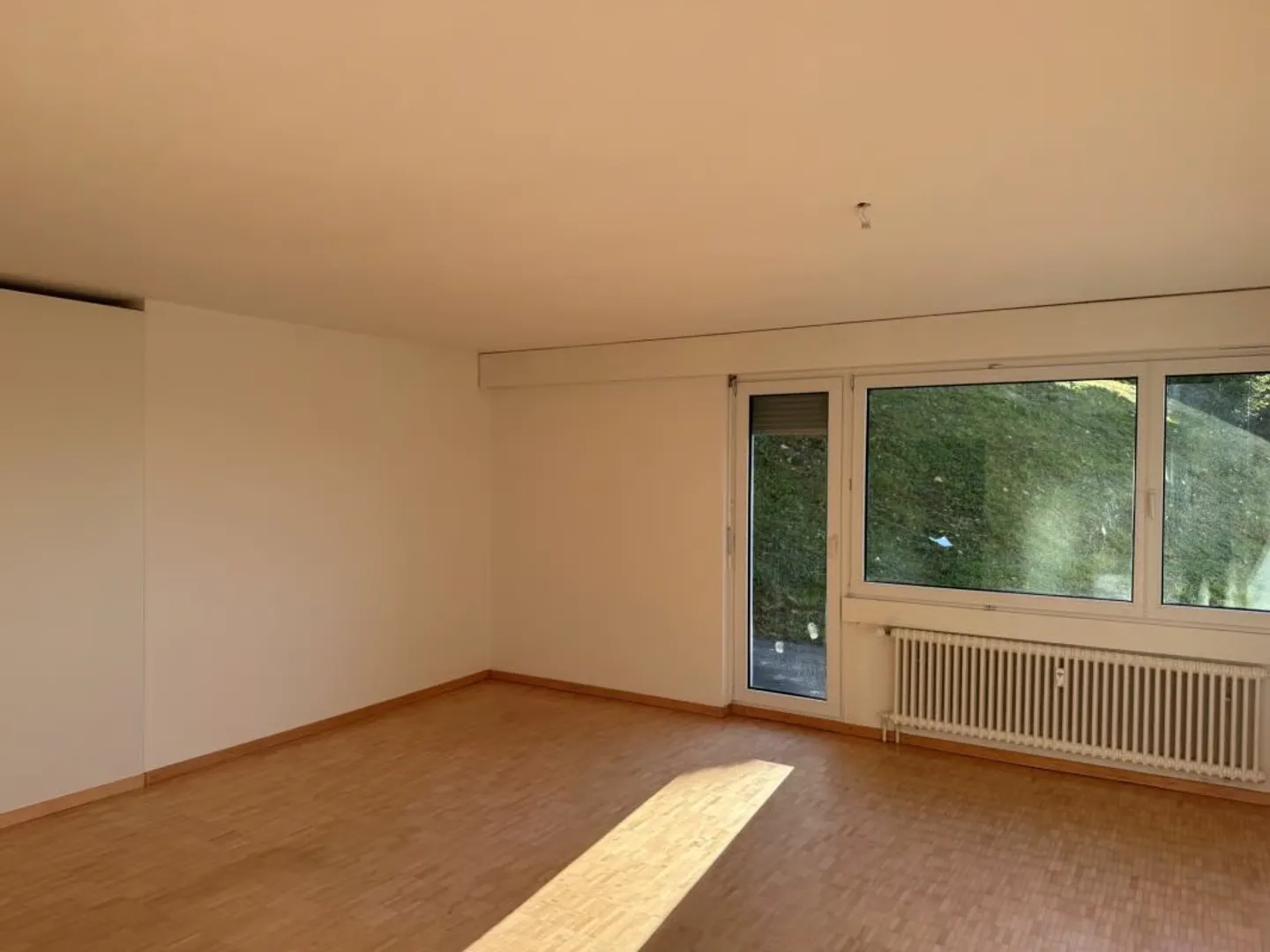3.5 Room Apartment with Patio - Photo 6 of 14