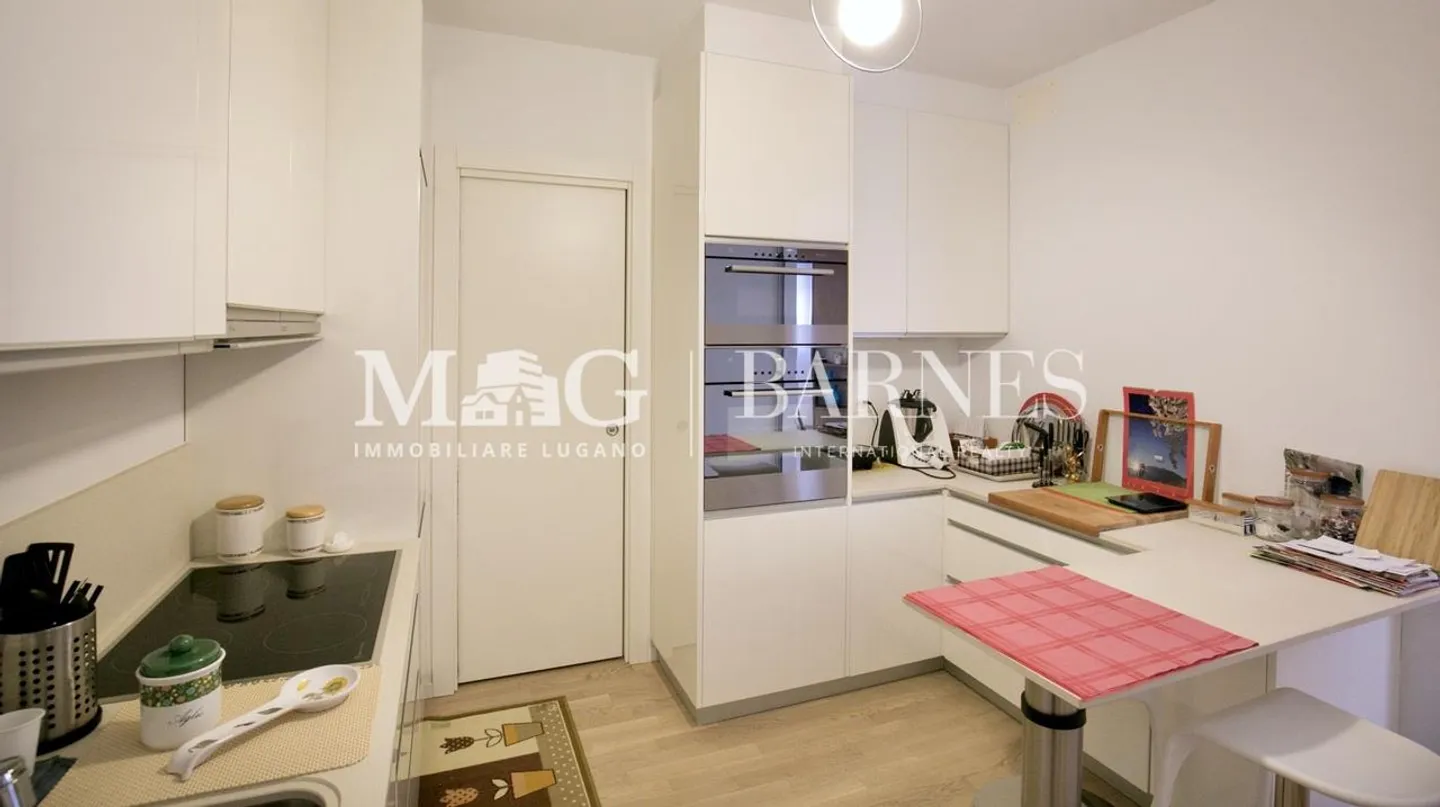 Lugano: 4.5-room apartment with large balcony - Photo 16 of 17