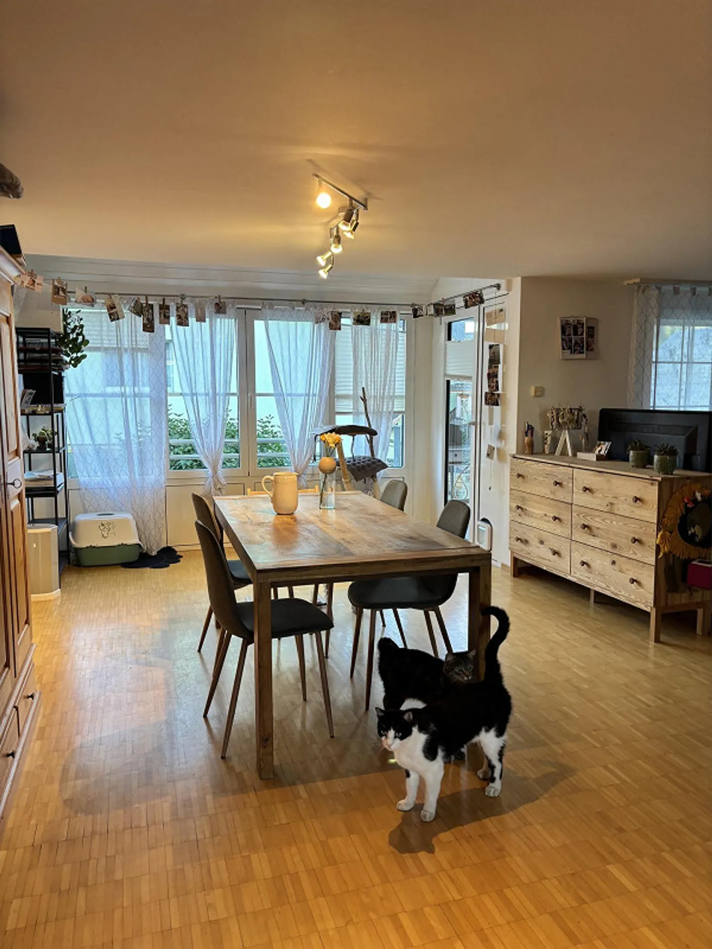 Appartement 3.5 pièces - Photo 1 sur 9