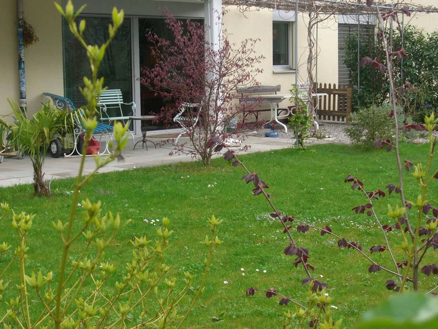 Tribschen: Zentrale helle Stadtwohnung, mit grossem eigenen Garten - Foto 1 von 9