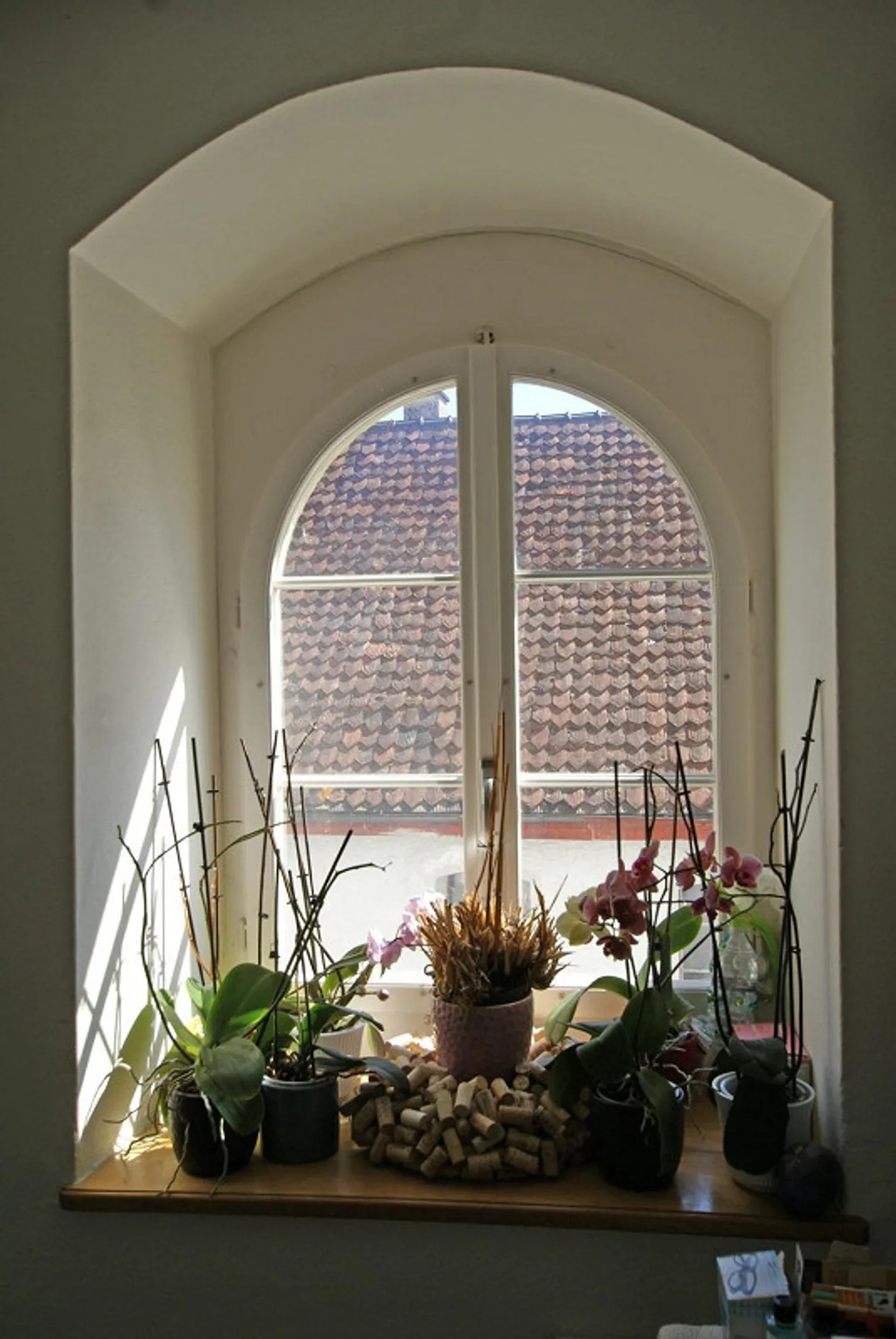 Historisches Anwesen mit Investitionspotential - Foto 5 von 6