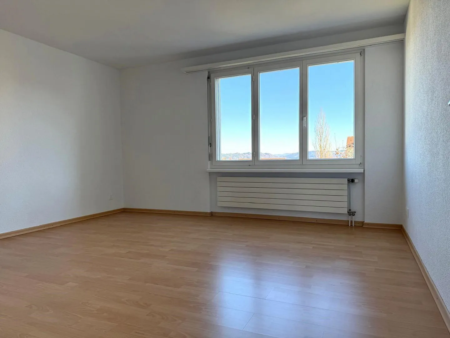 Spacious, light-flooded 4.5 room apartment - Photo 6 of 11