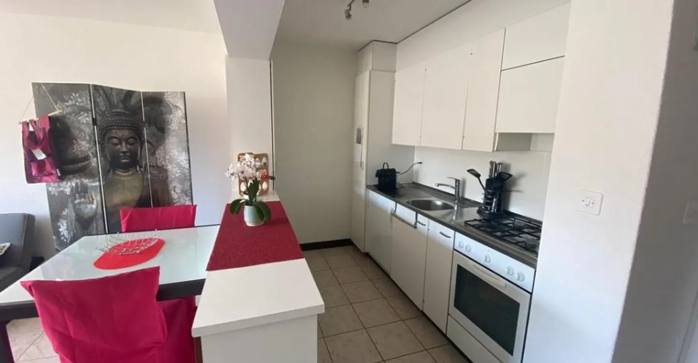 Appartamento spazioso di 2,5 locali - Foto 1 di 5