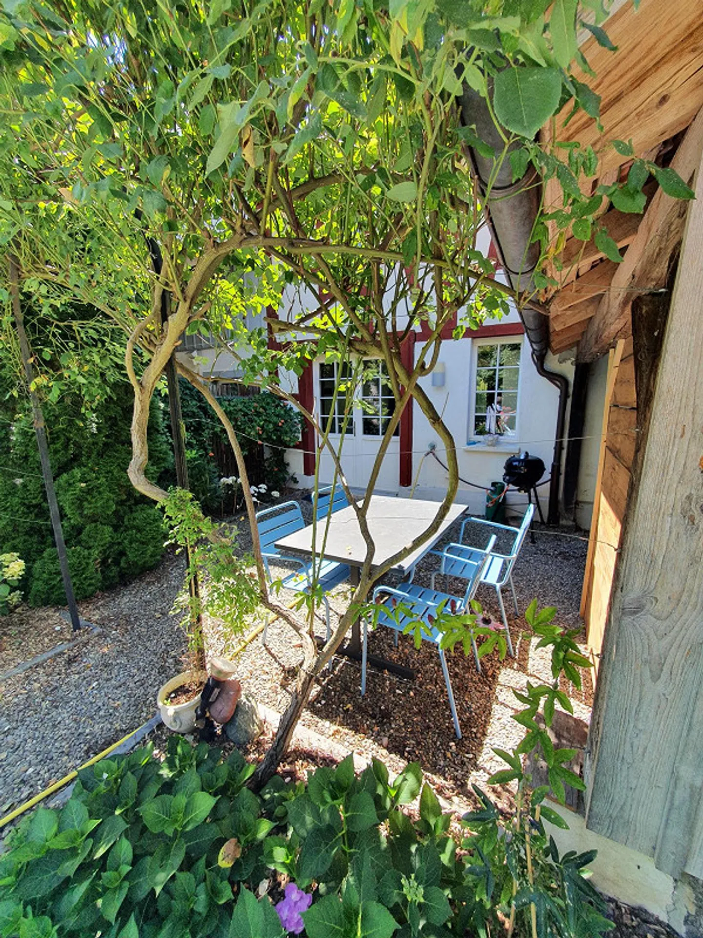 Charming 2-room apartment with fireplace, seating area, and terrace - Photo 2 of 12