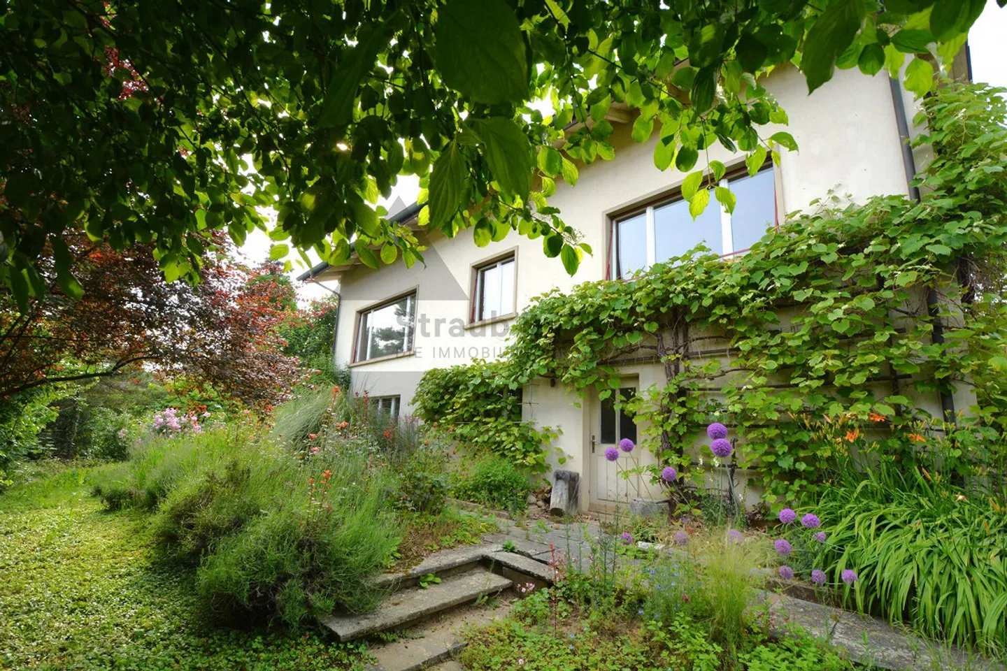 TERRAIN CONSTRUCTIBLE ENSOLEILLÉ AVEC POTENTIEL | AVEC PROPRIÉTÉ À DÉMOLIR - Photo 7 sur 13