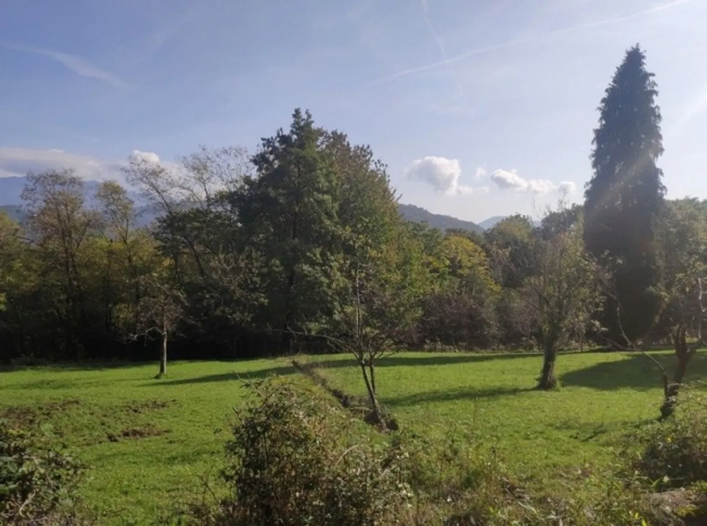 Property - Photo 1 of 1